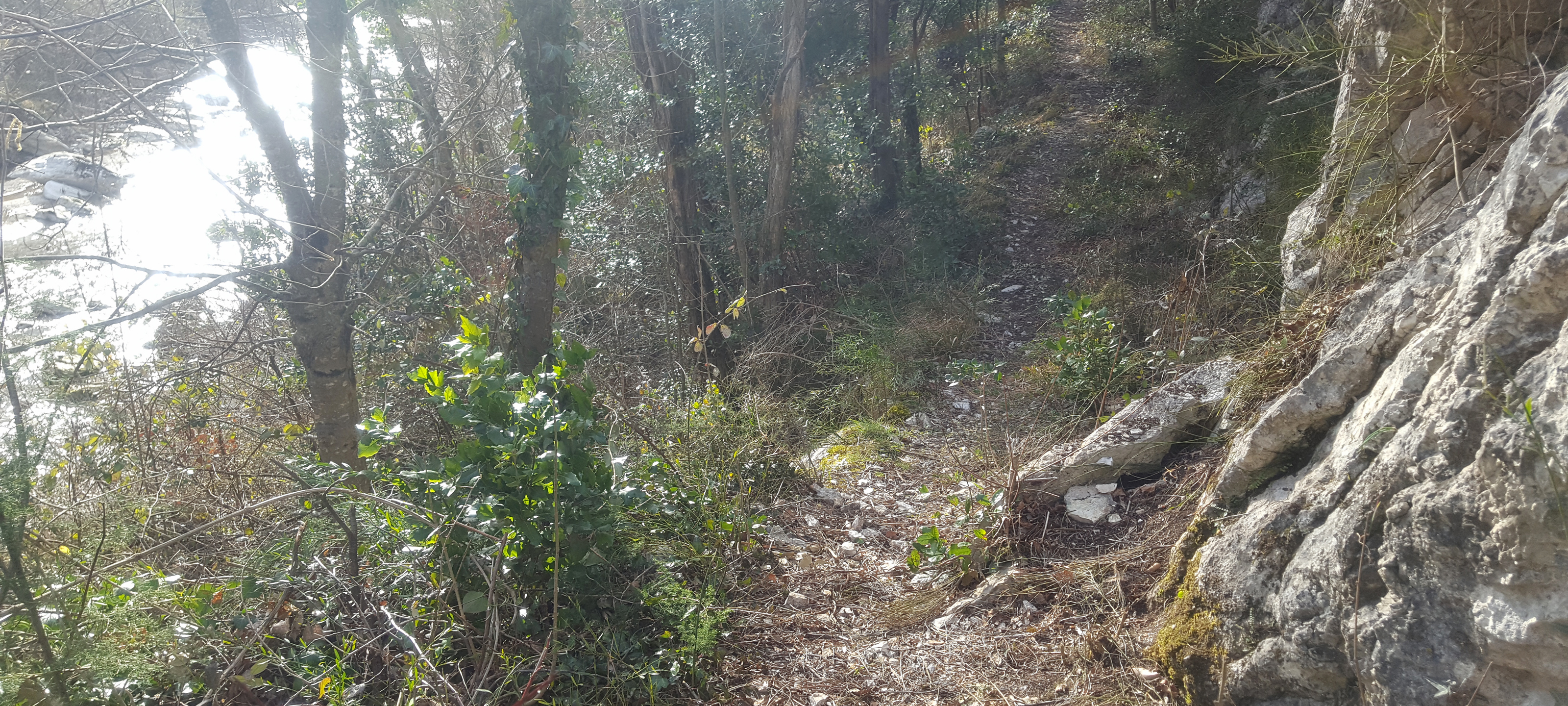 Monte Petrano Sentiero 67 - immagine 10