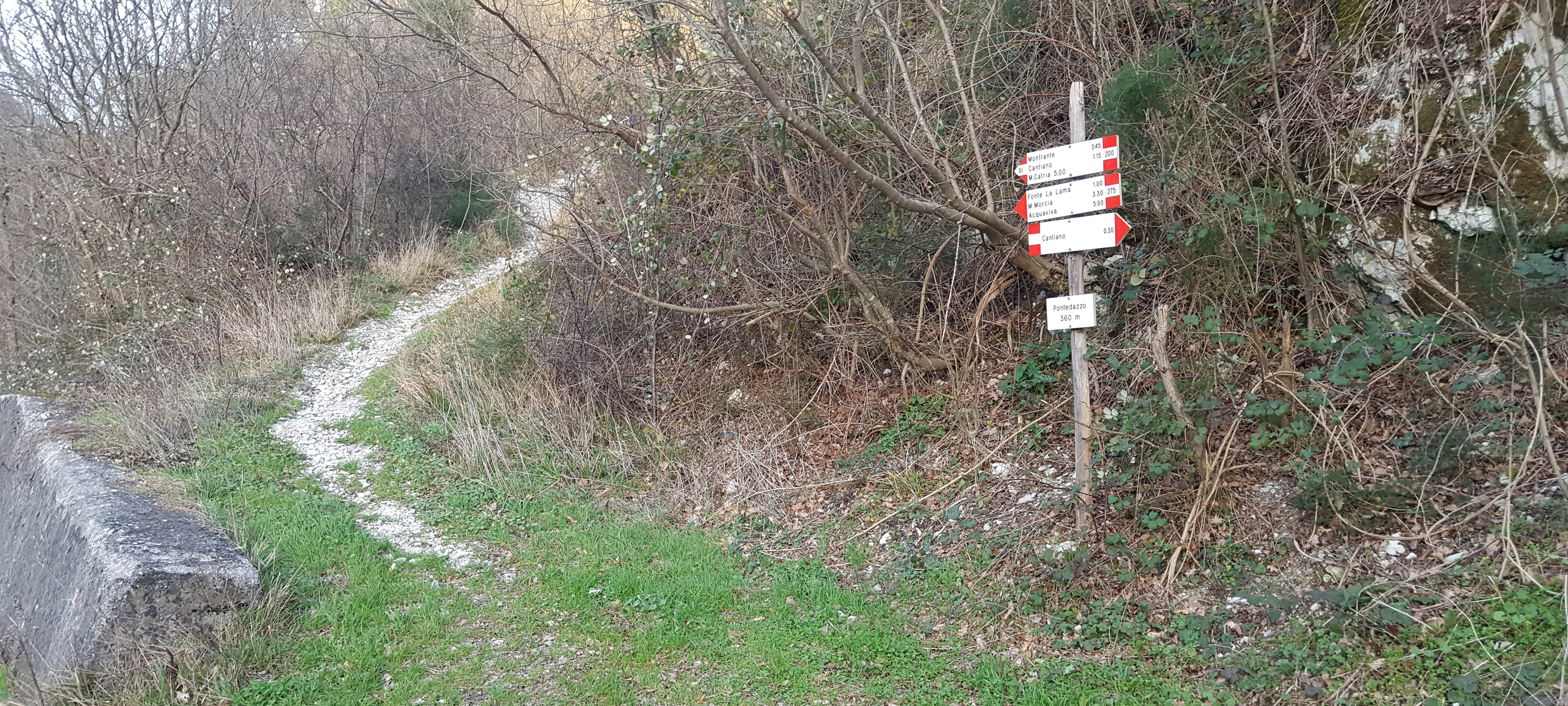 Monte Petrano Sentiero 67 - immagine 11