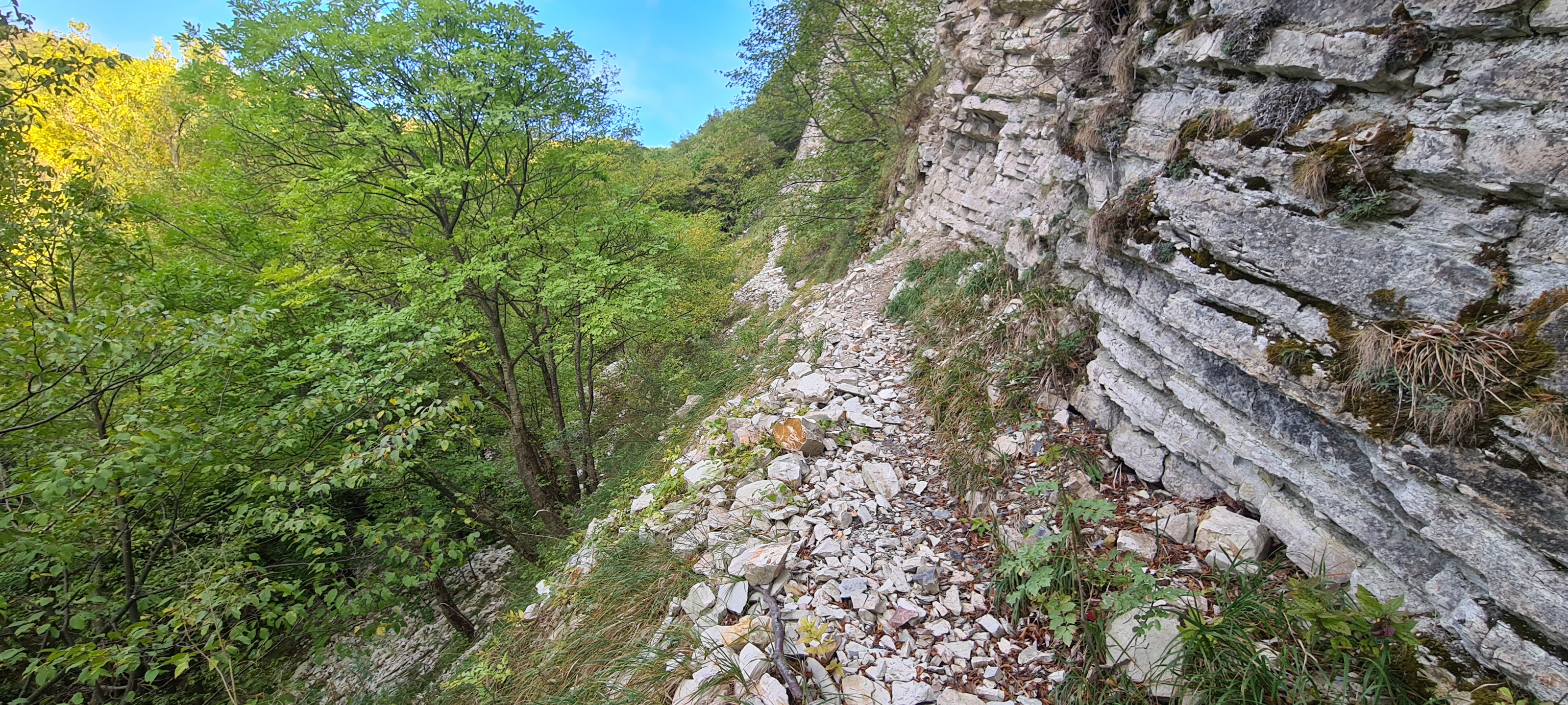Monte Petrano Sentiero 67 - immagine 13