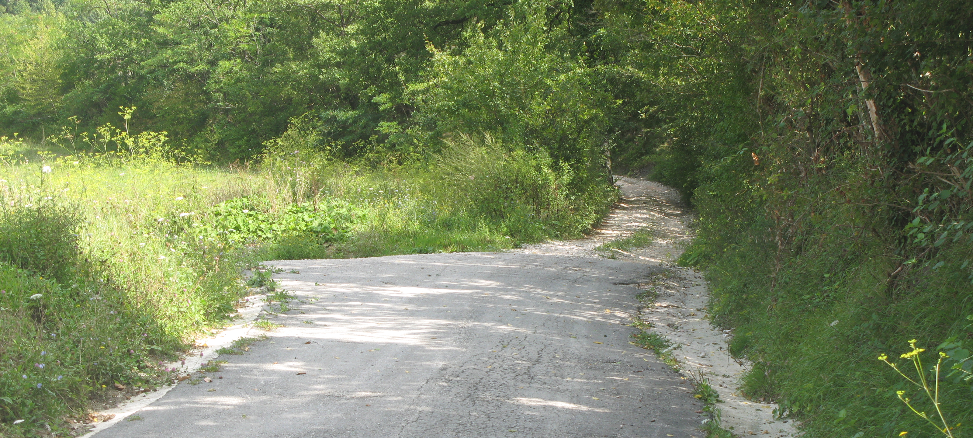 Monte Catria Sentiero 68 - immagine 1