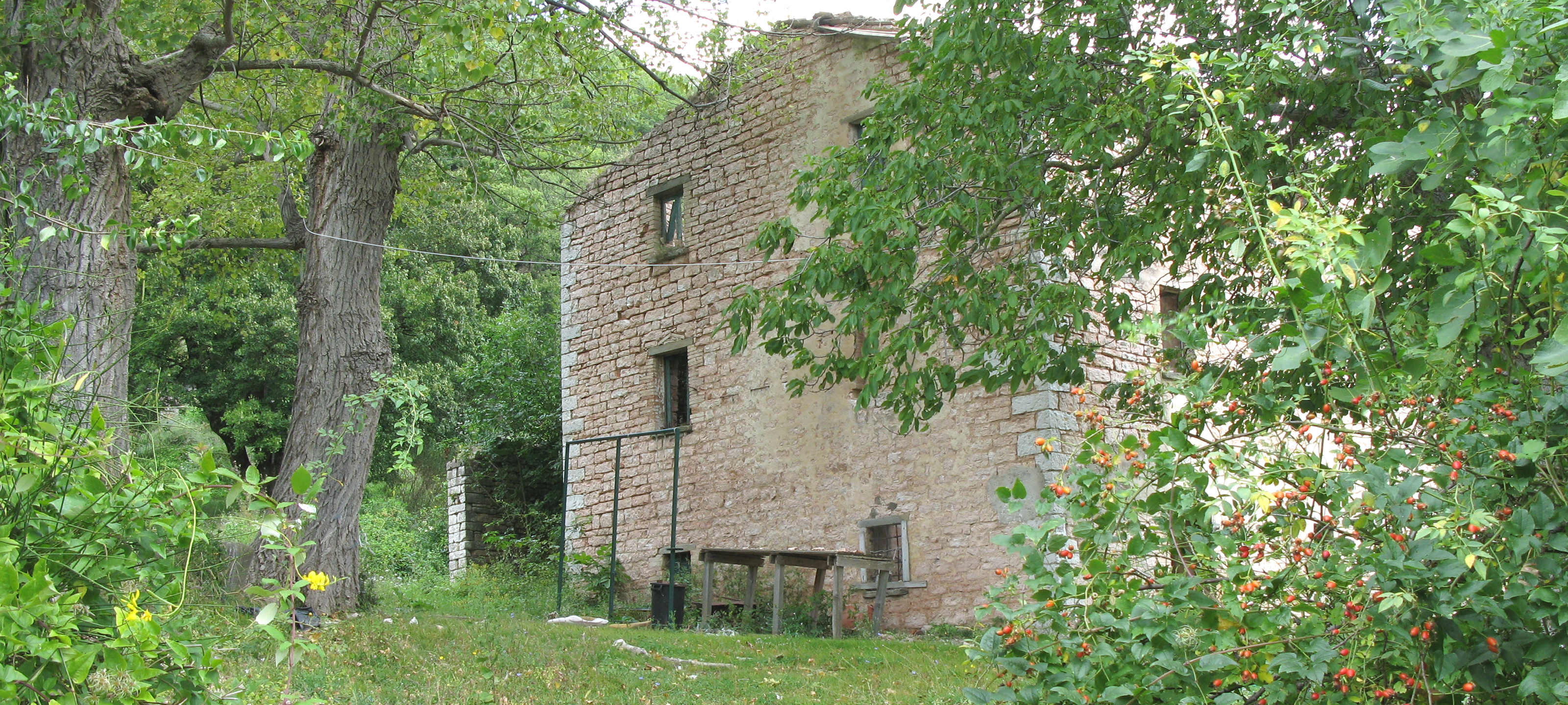 Monte Catria Sentiero 68 - immagine 2 (Ca' Belvedere)