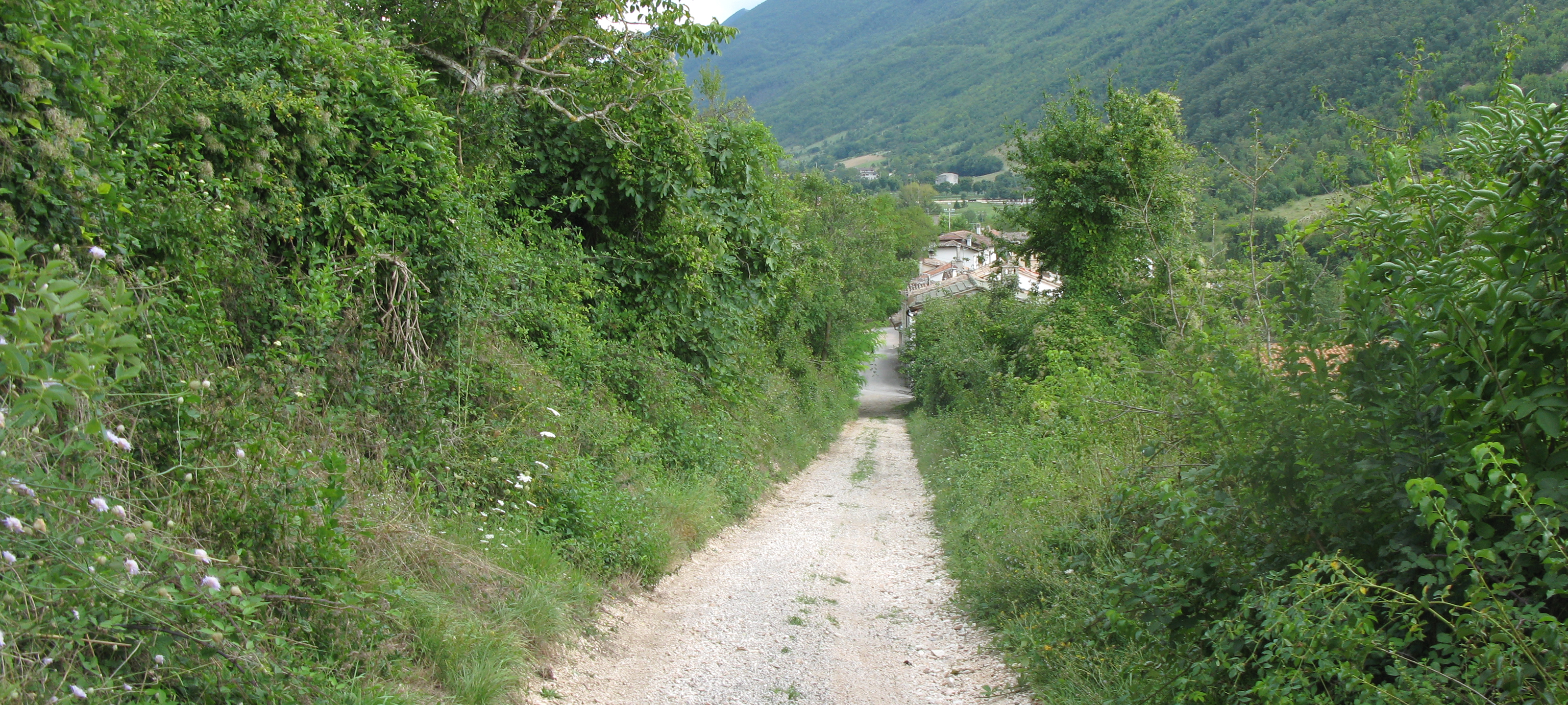 Monte Catria Sentiero 68 - immagine 4