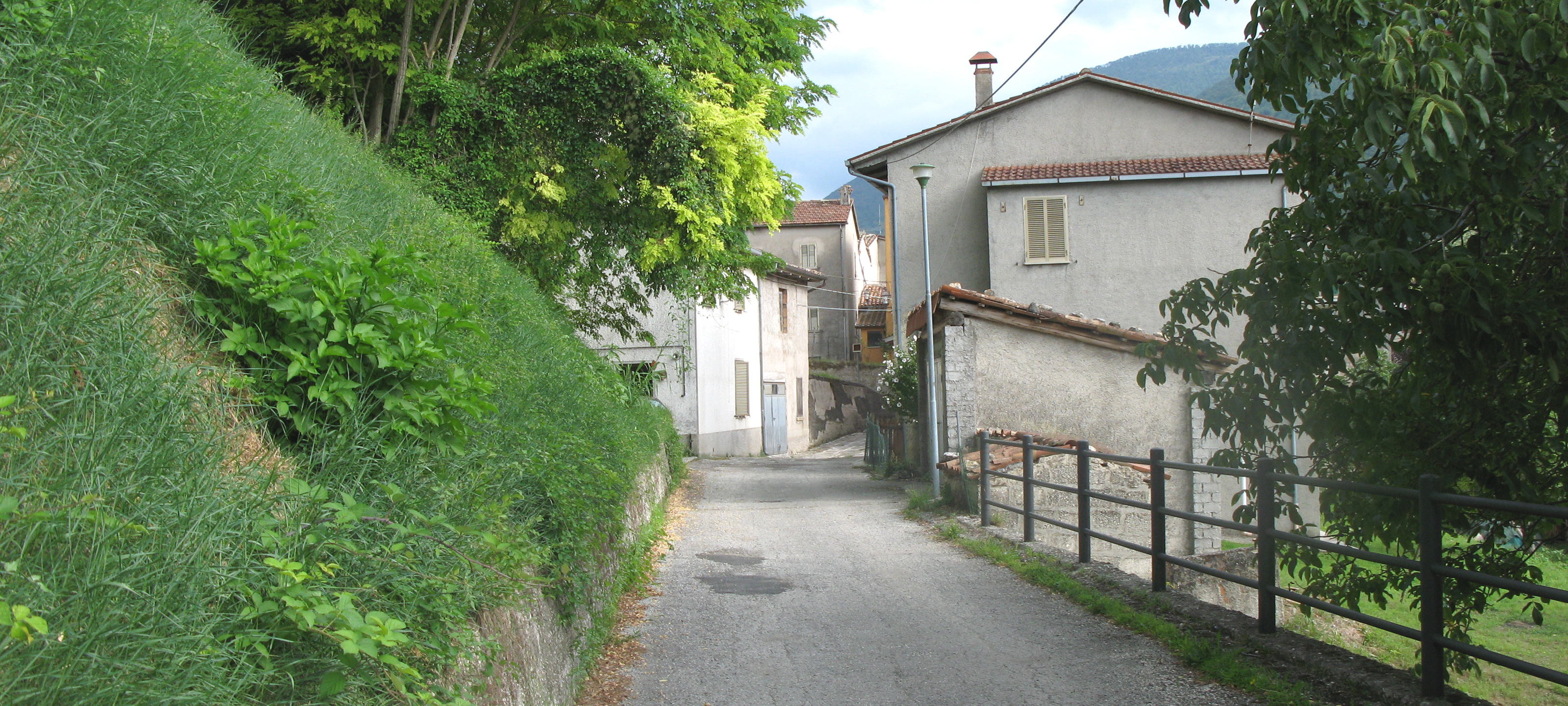 Monte Catria Sentiero 68 - immagine 5
