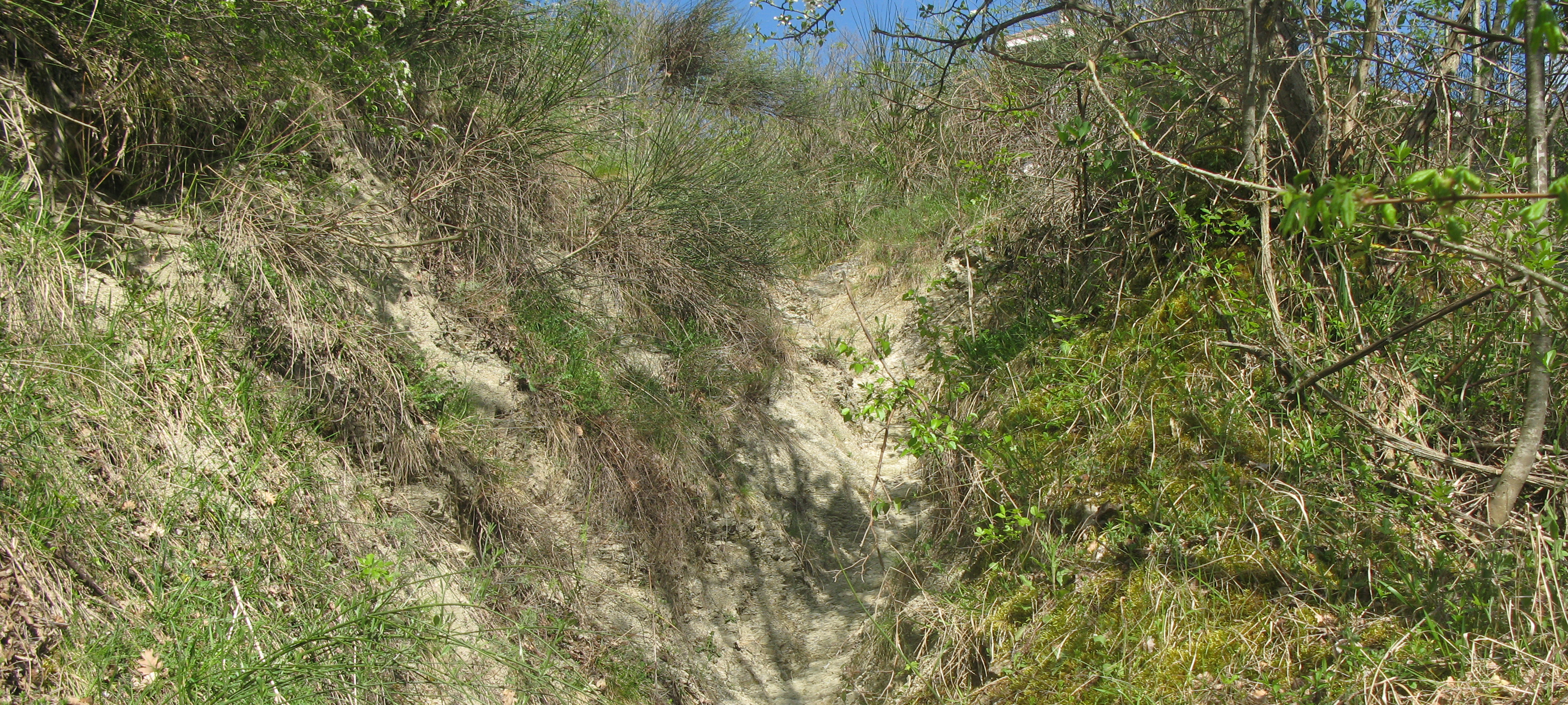 Monte Catria Sentiero 68 - immagine 7
