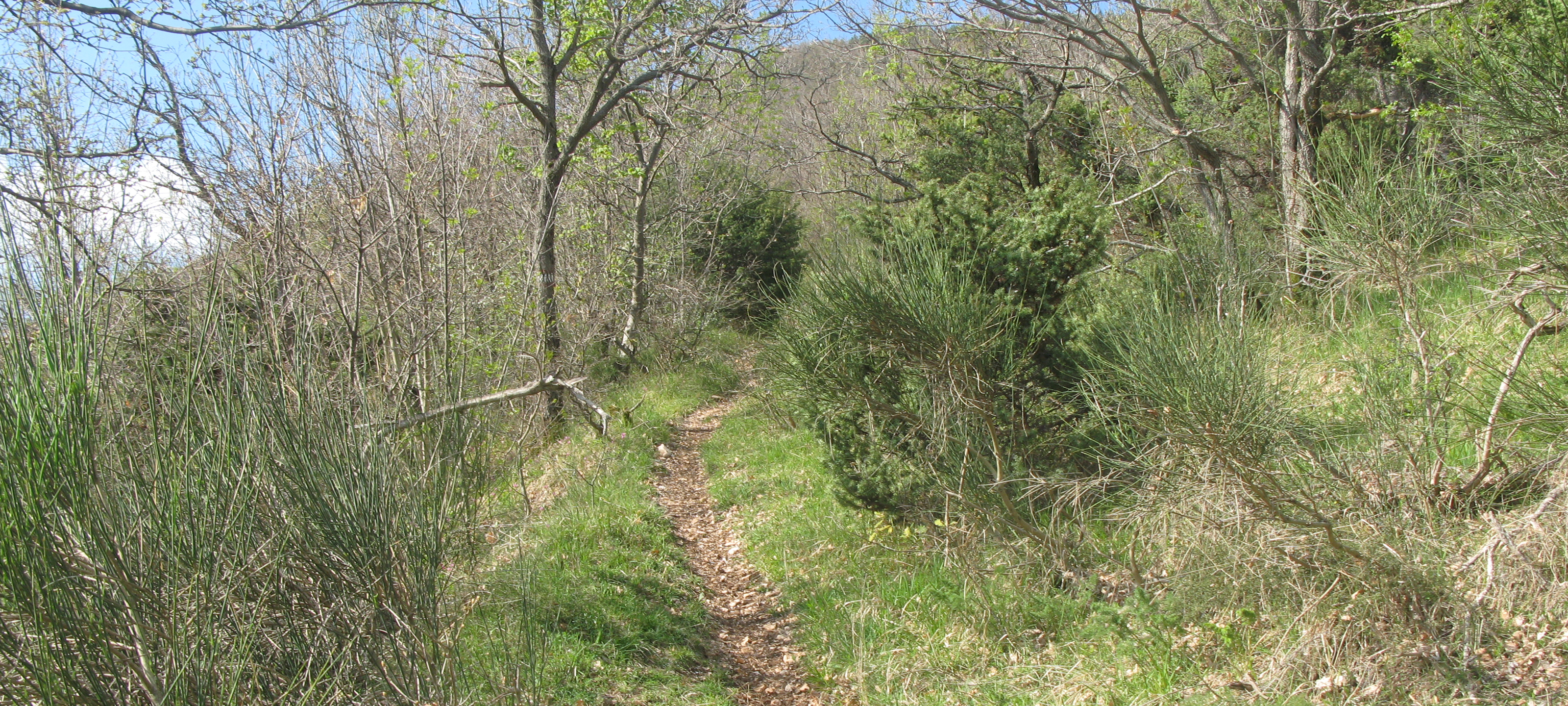 Monte Catria Sentiero 68 - immagine 9