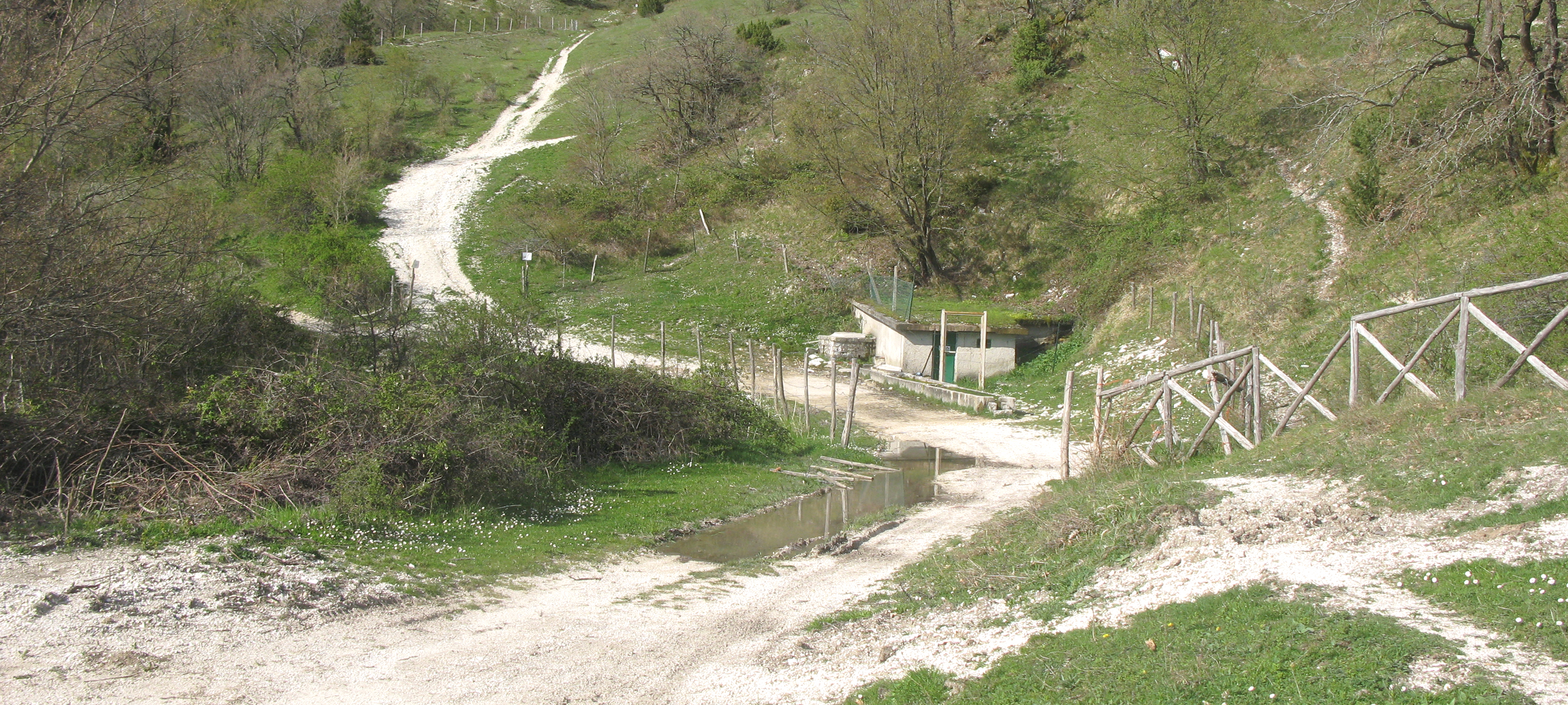 Monte Catria Sentiero 68 - immagine 10 (Fonti Luca)