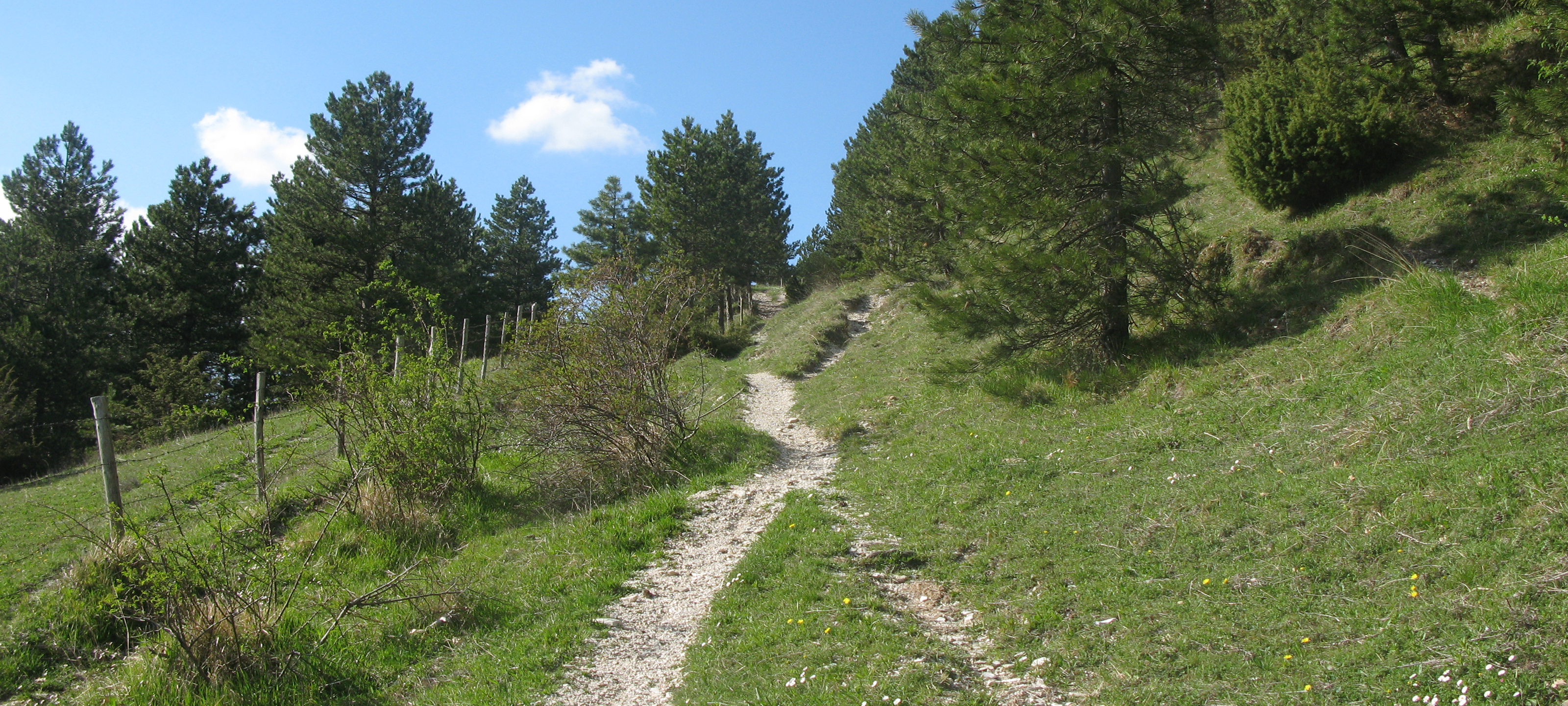 Monte Catria Sentiero 68 - immagine 11