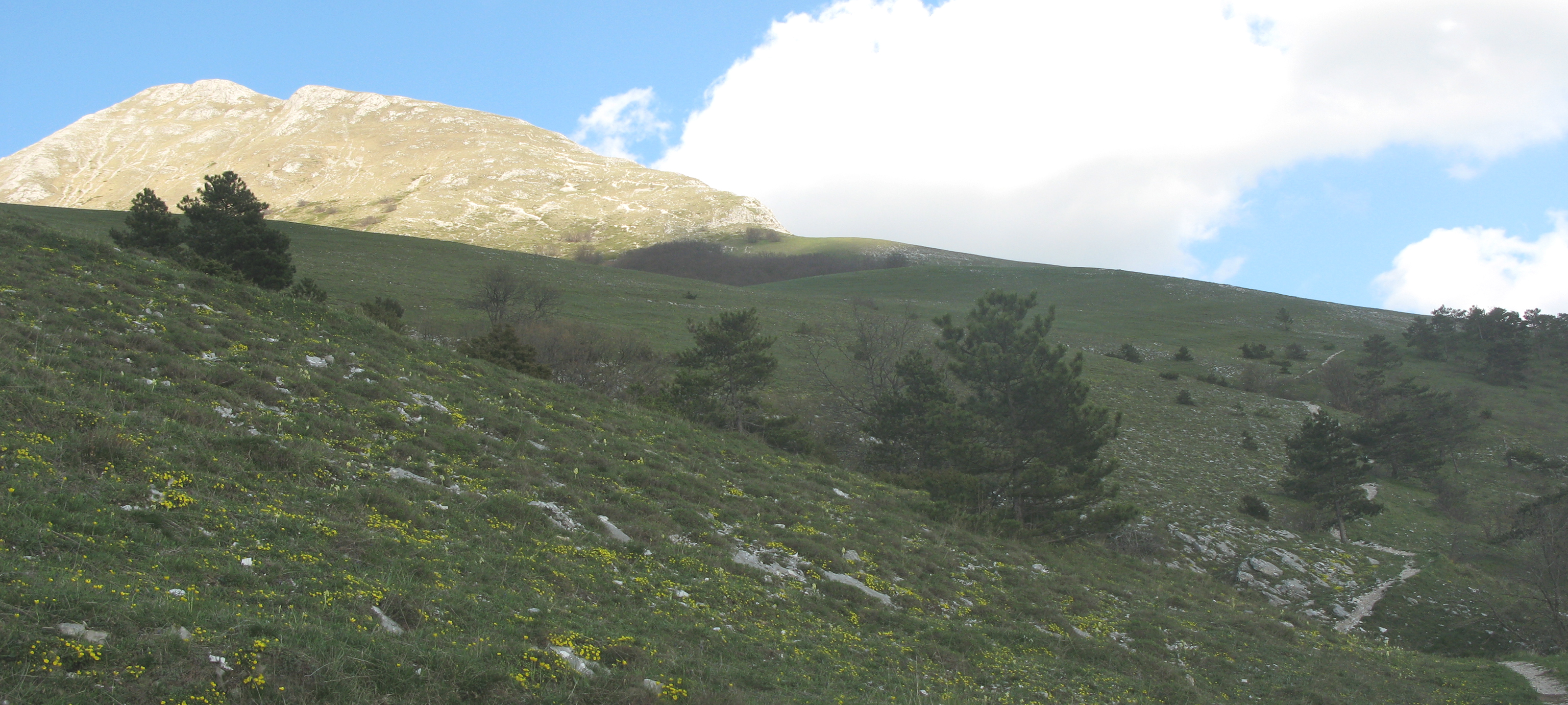 Monte Catria Sentiero 68 - immagine 13