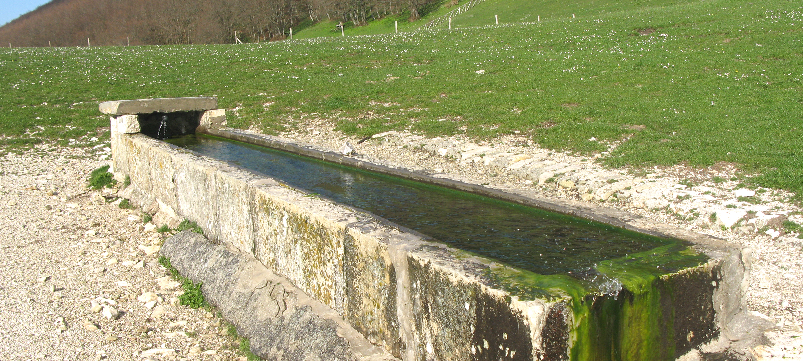 Monte Catria Sentiero 68 - immagine 14 (Bocca della Valle)