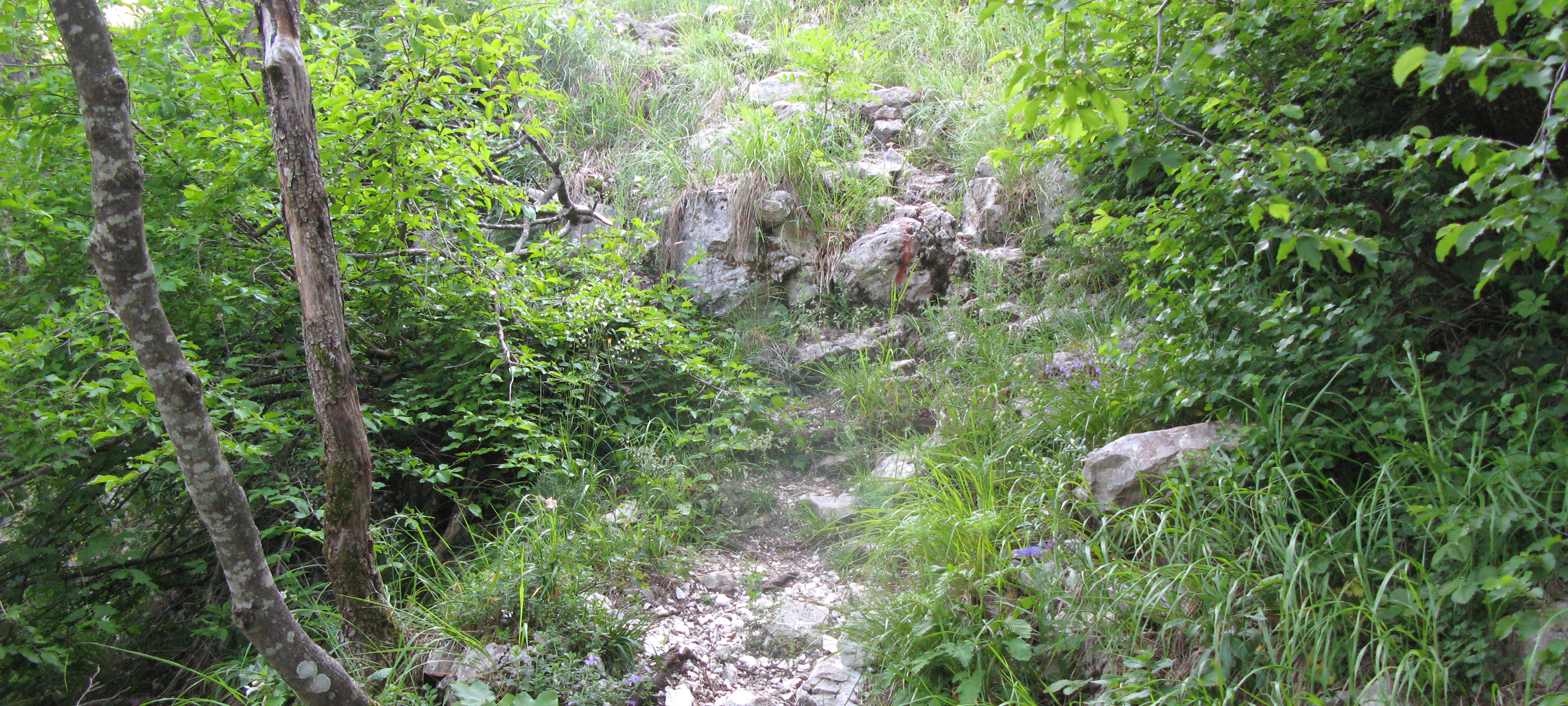 Monte Catria Sentiero 69 - immagine 6