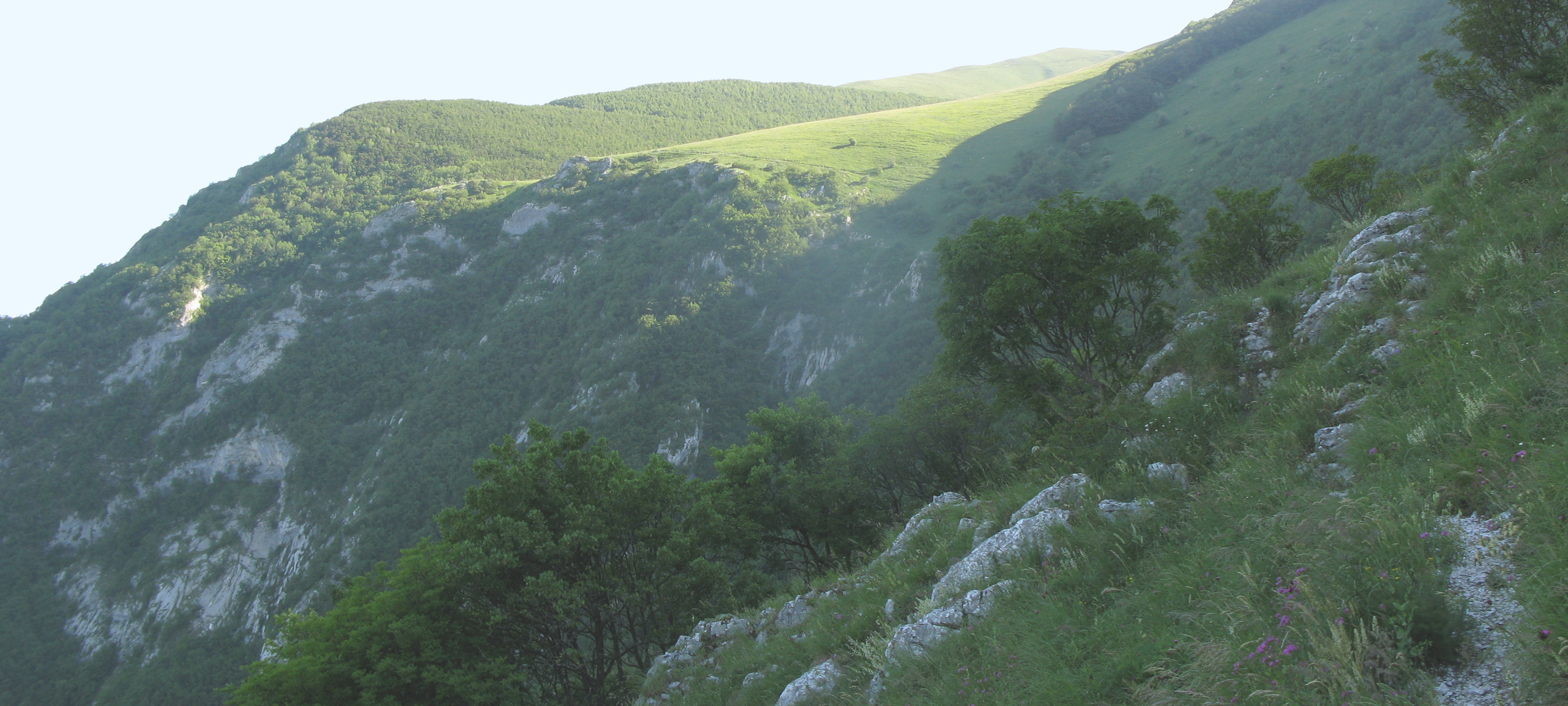 Monte Catria Sentiero 69 - immagine 7
