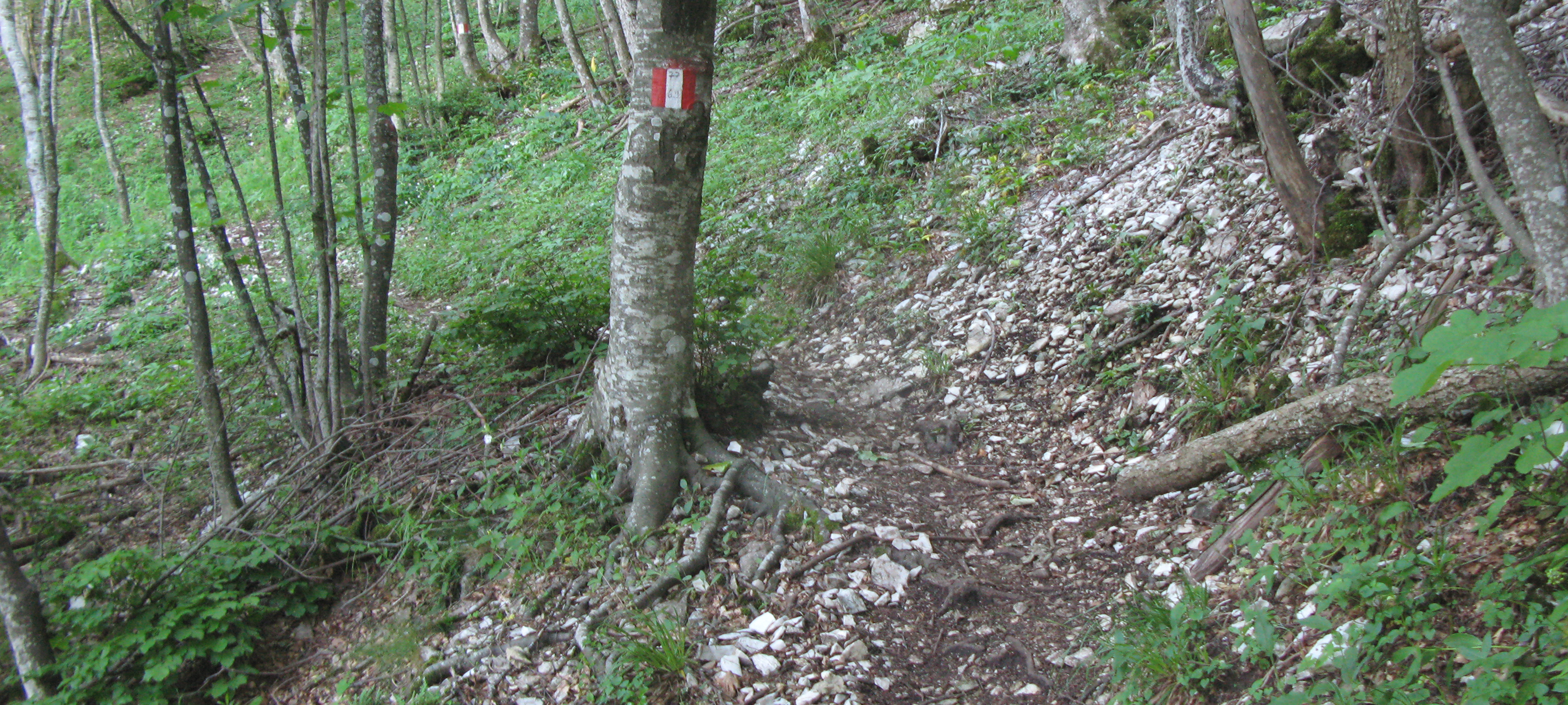 Monte Catria Sentiero 69 - immagine 9