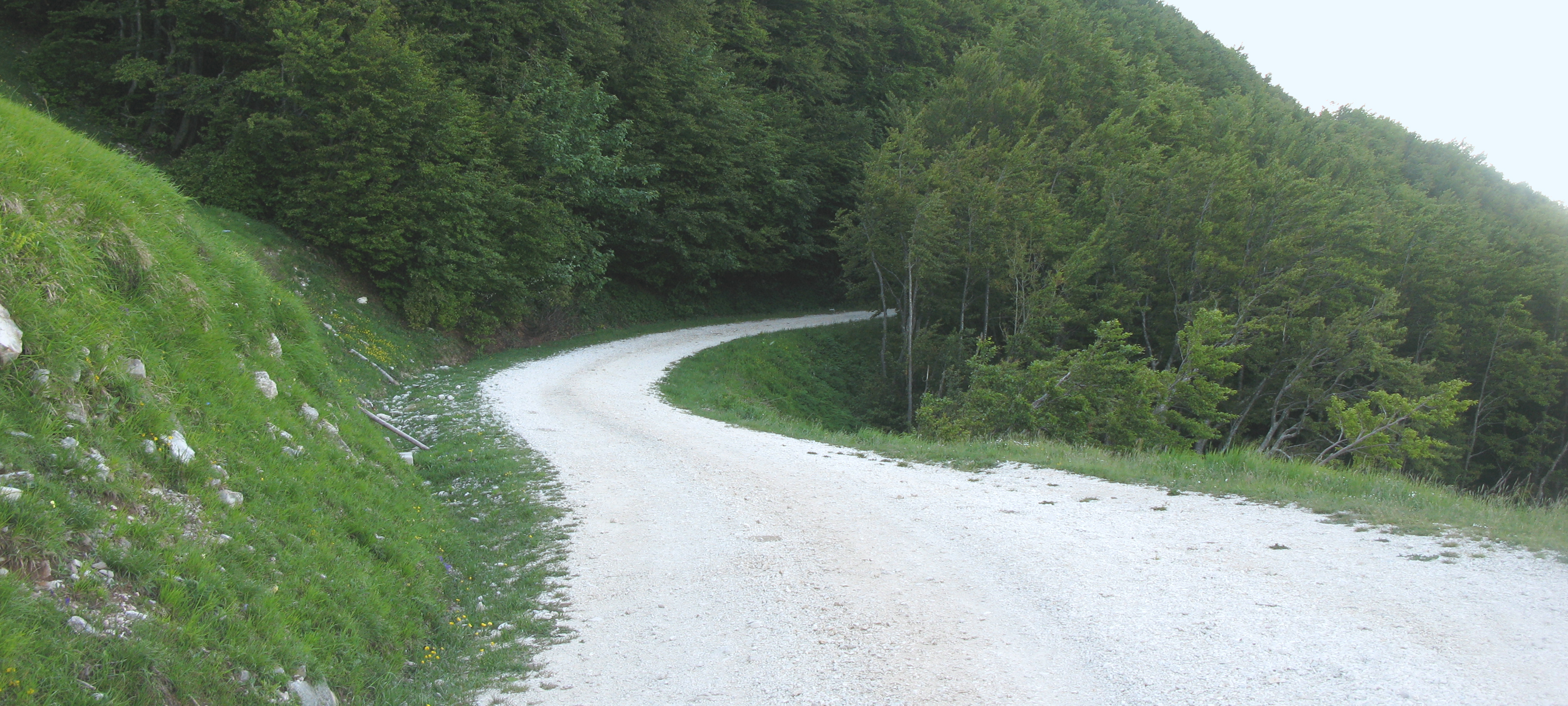 Monte Catria Sentiero 69 - immagine 11