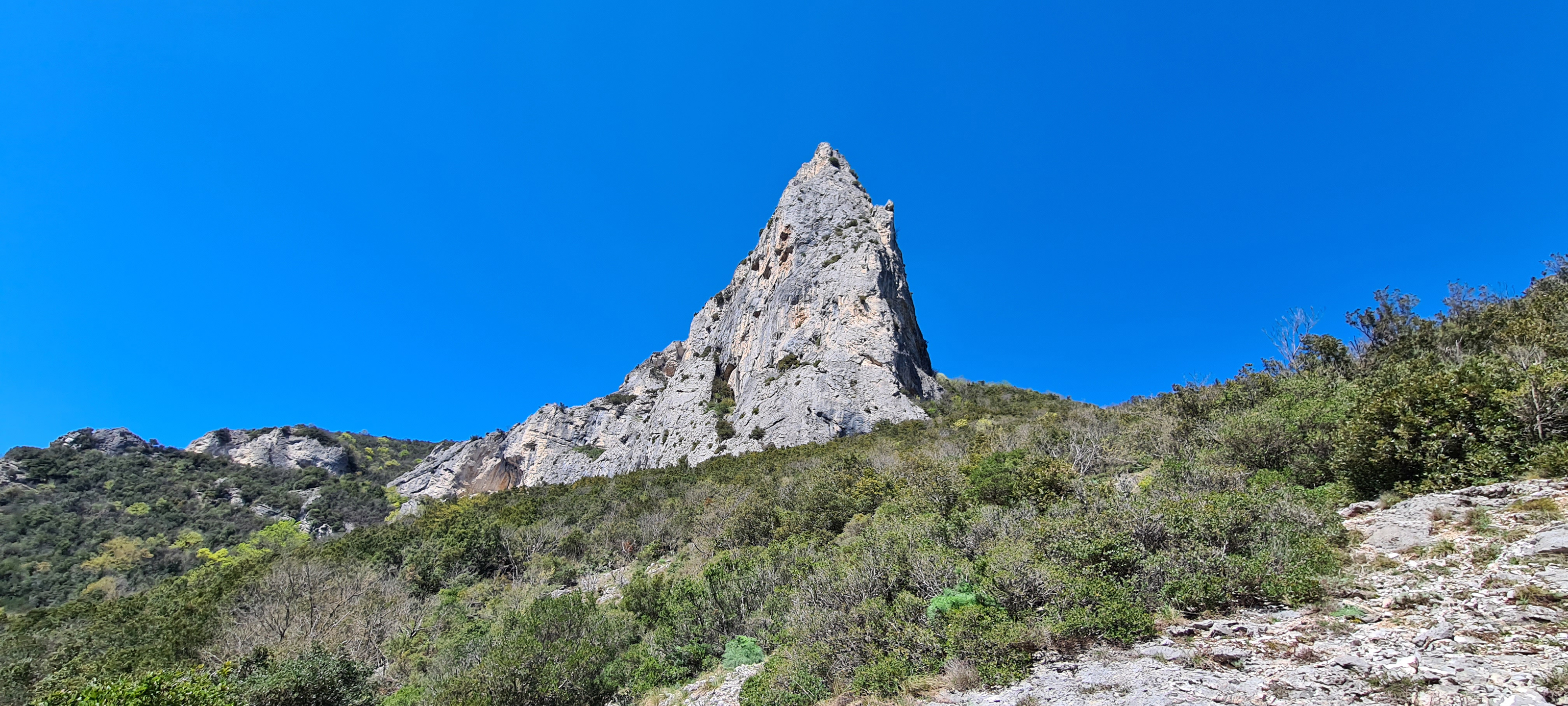 Monte Nerone Sentiero 7 - immagine 6 (Balza della Penna)