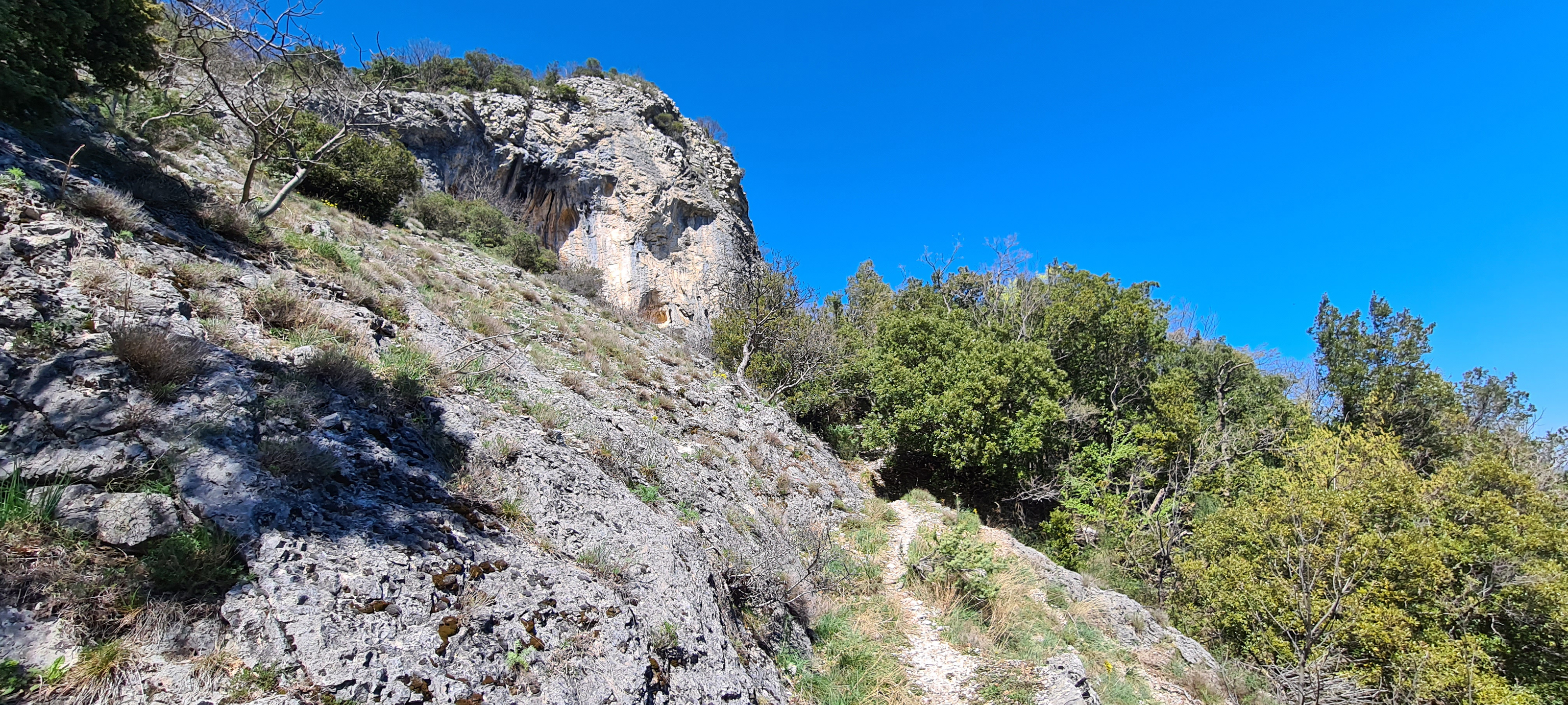 Monte Nerone Sentiero 7 - immagine 9