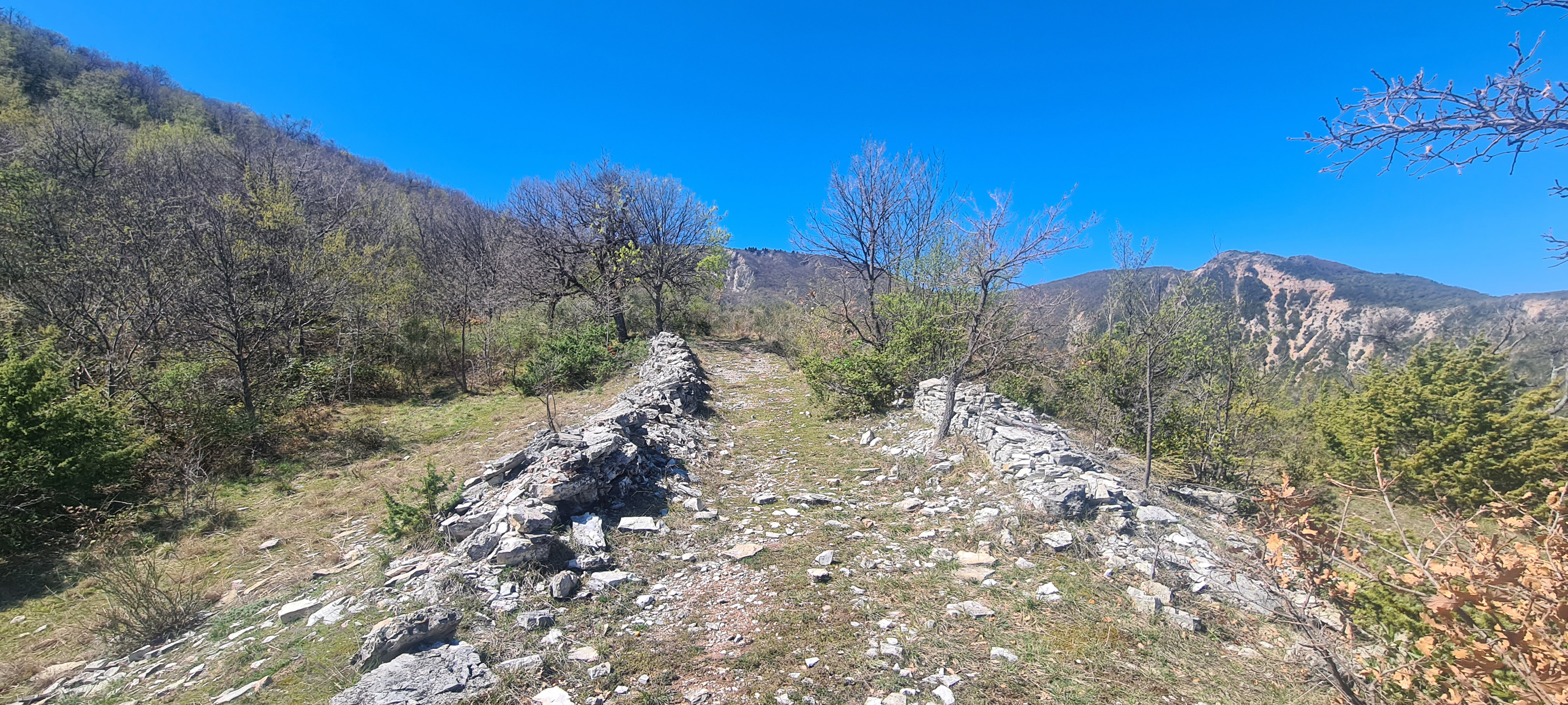 Monte Nerone Sentiero 7 - immagine 10