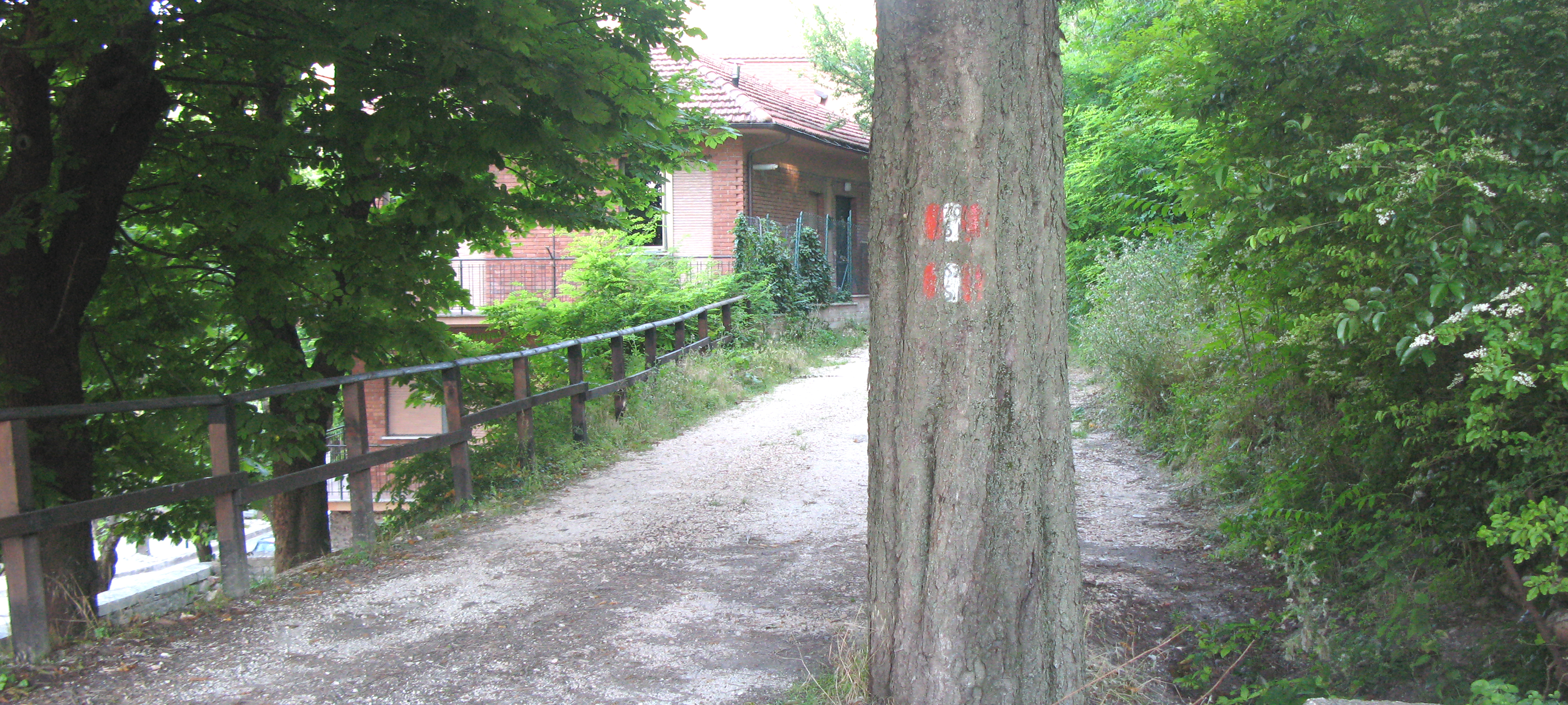 Monte Petrano Sentiero 70 - immagine 1