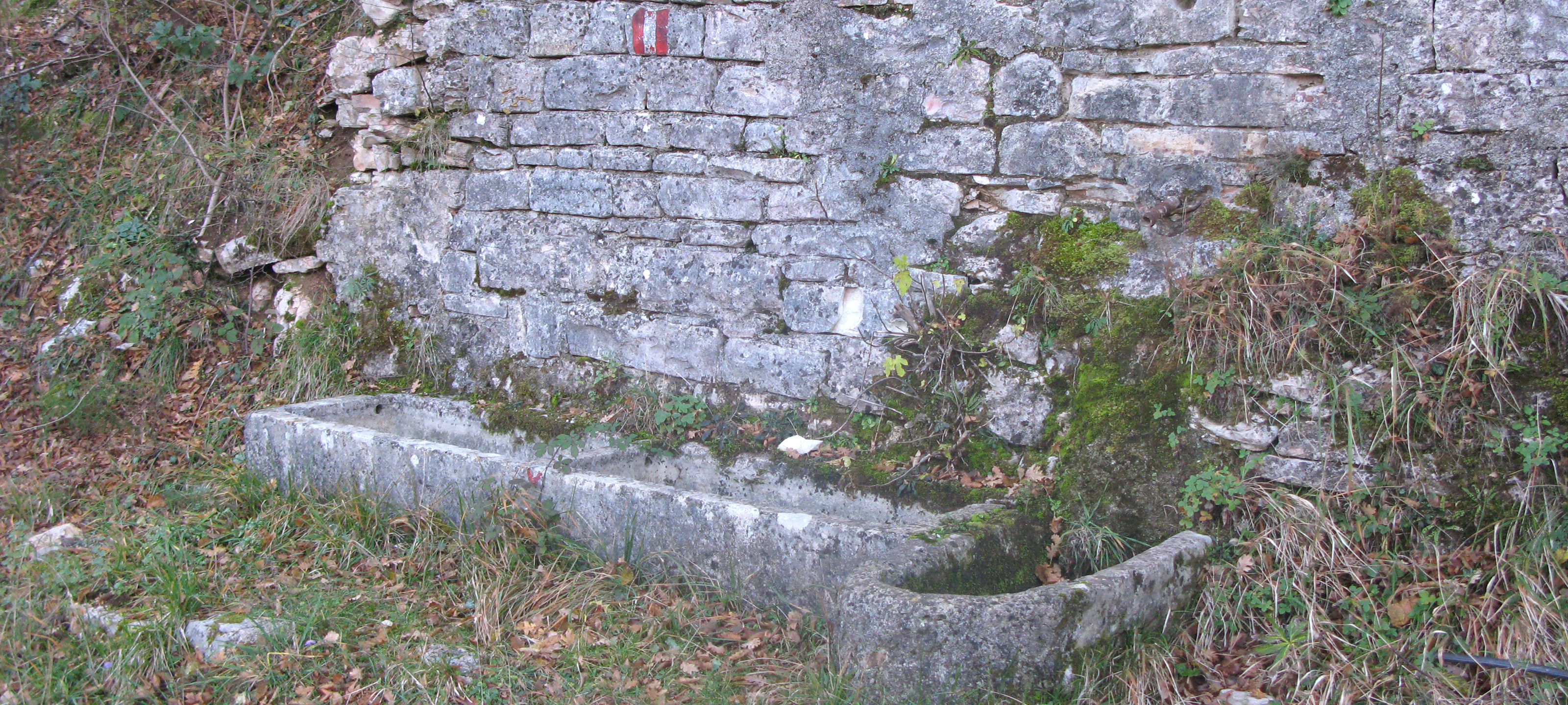 Monte Petrano Sentiero 70 - immagine 4