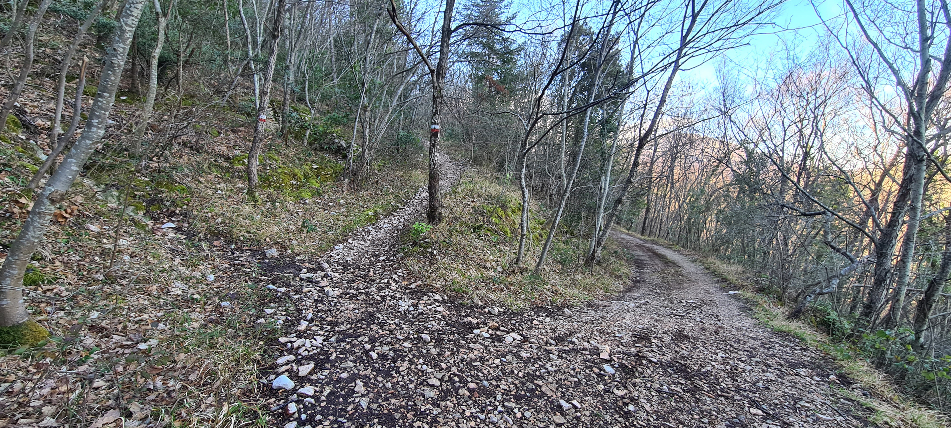 Monte Petrano Sentiero 70 - immagine 5
