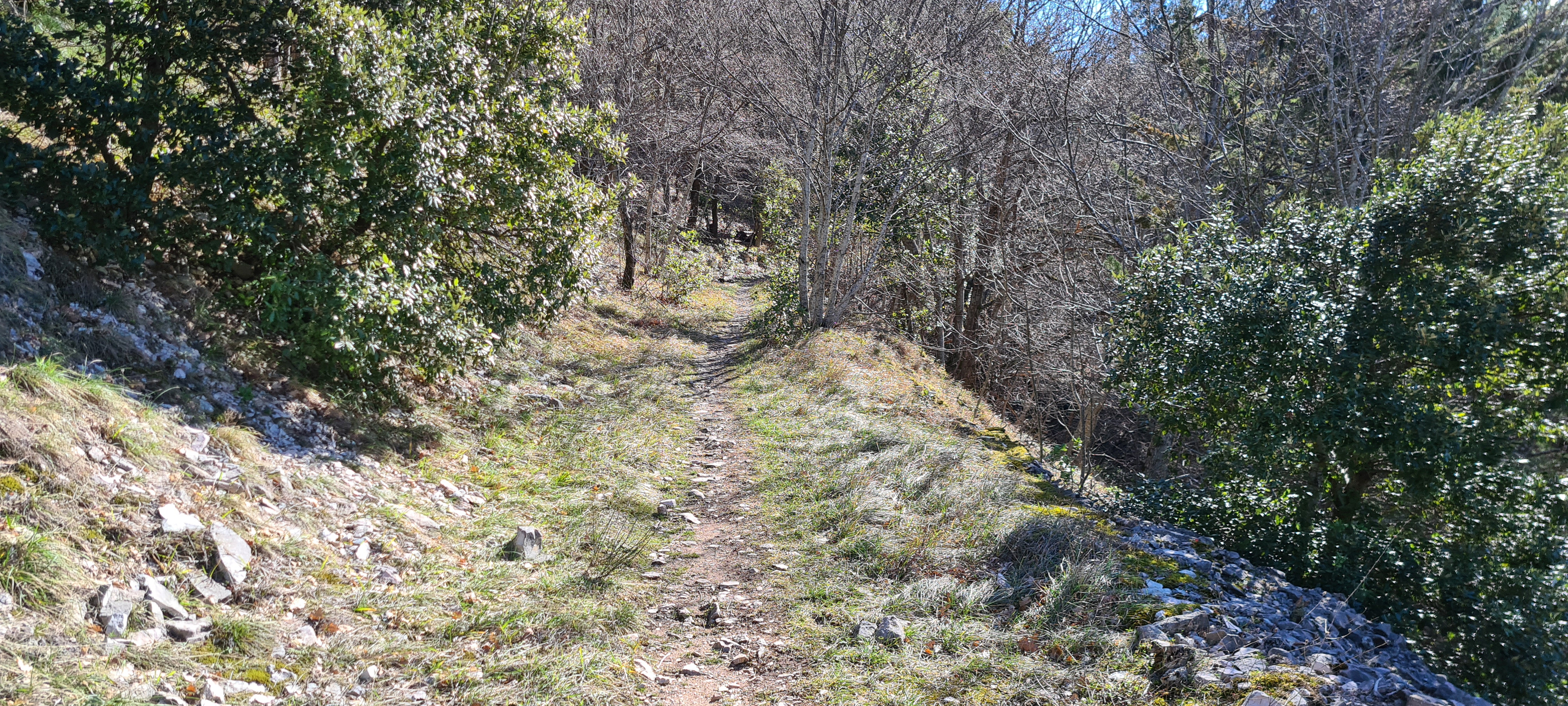 Monte Petrano Sentiero 70 - immagine 6