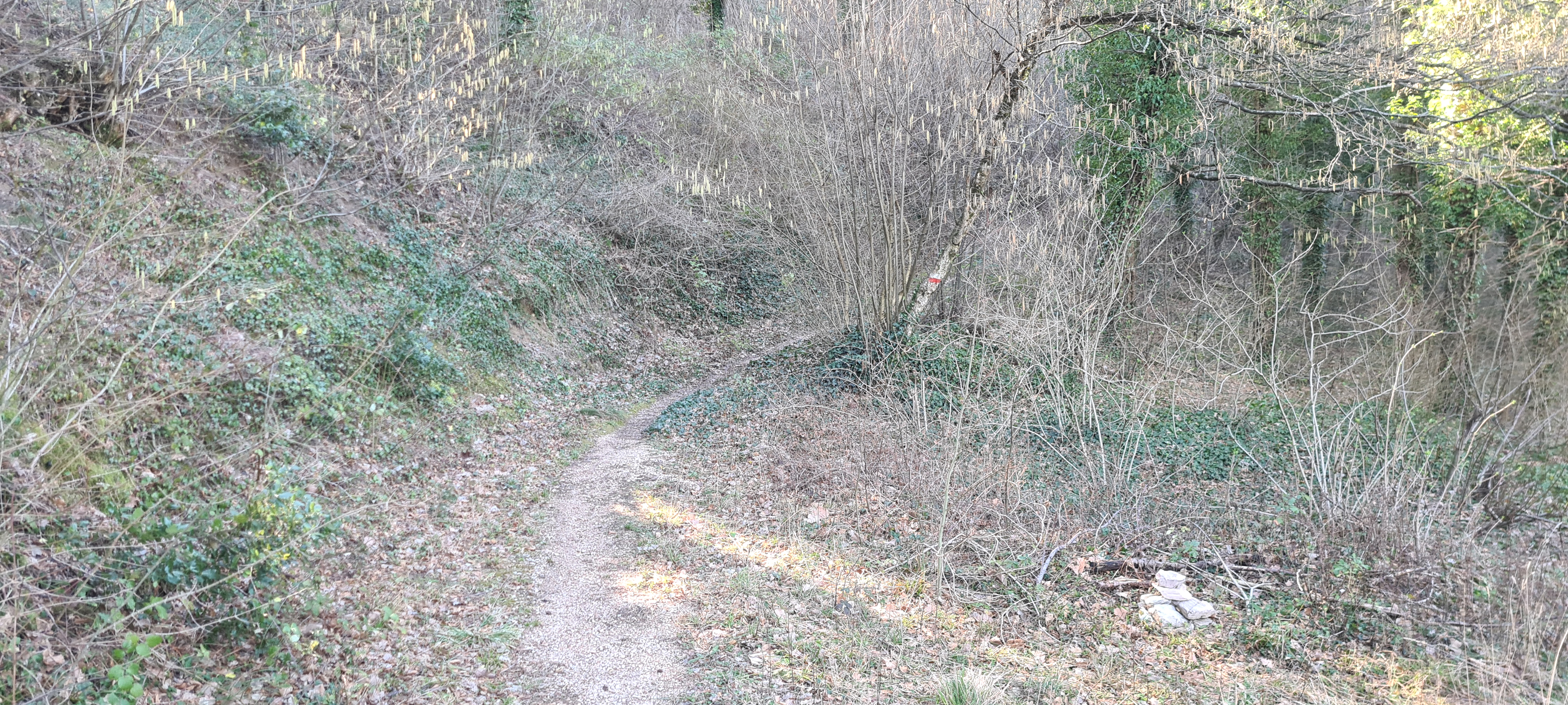 Monte Petrano Sentiero 70 - immagine 7