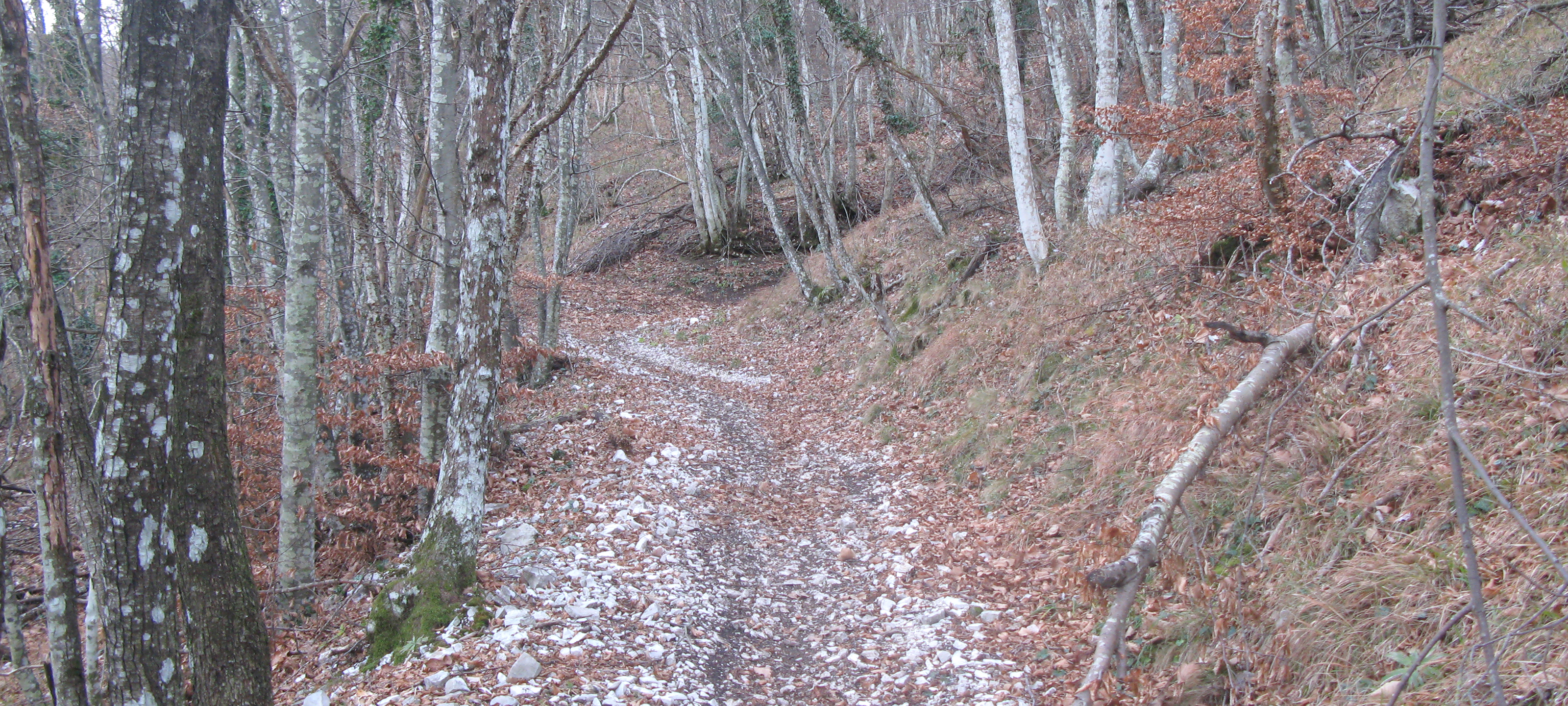 Monte Petrano Sentiero 70 - immagine 8