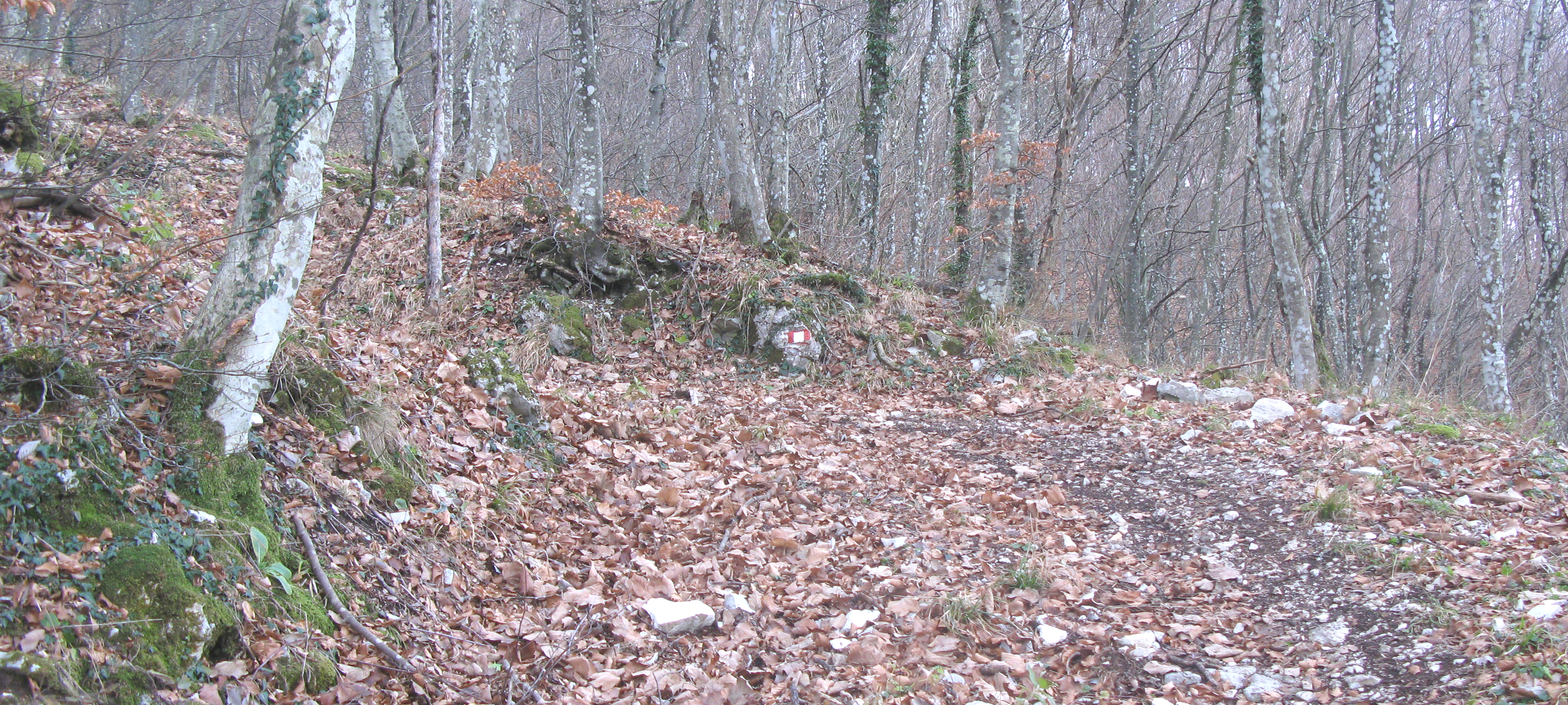 Monte Petrano Sentiero 70 - immagine 9