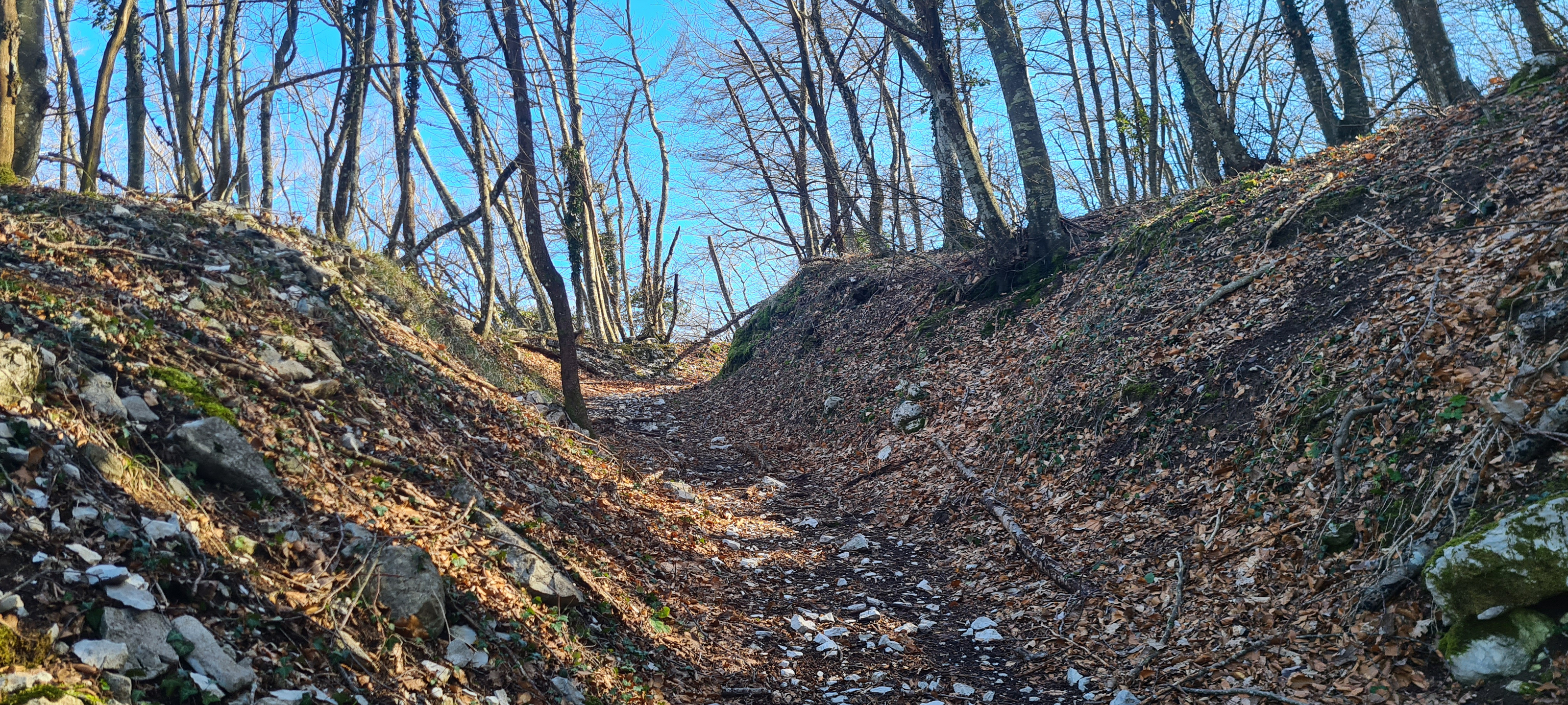 Monte Petrano Sentiero 70 - immagine 10