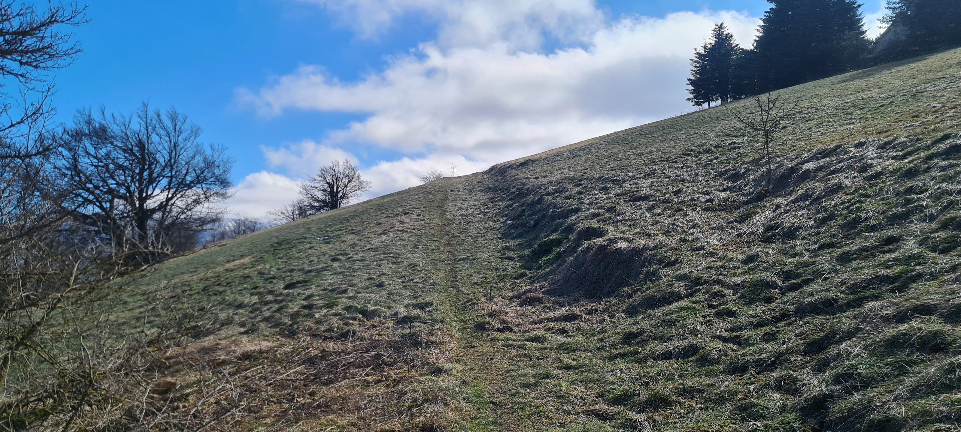 Monte Petrano Sentiero 70 - immagine 11