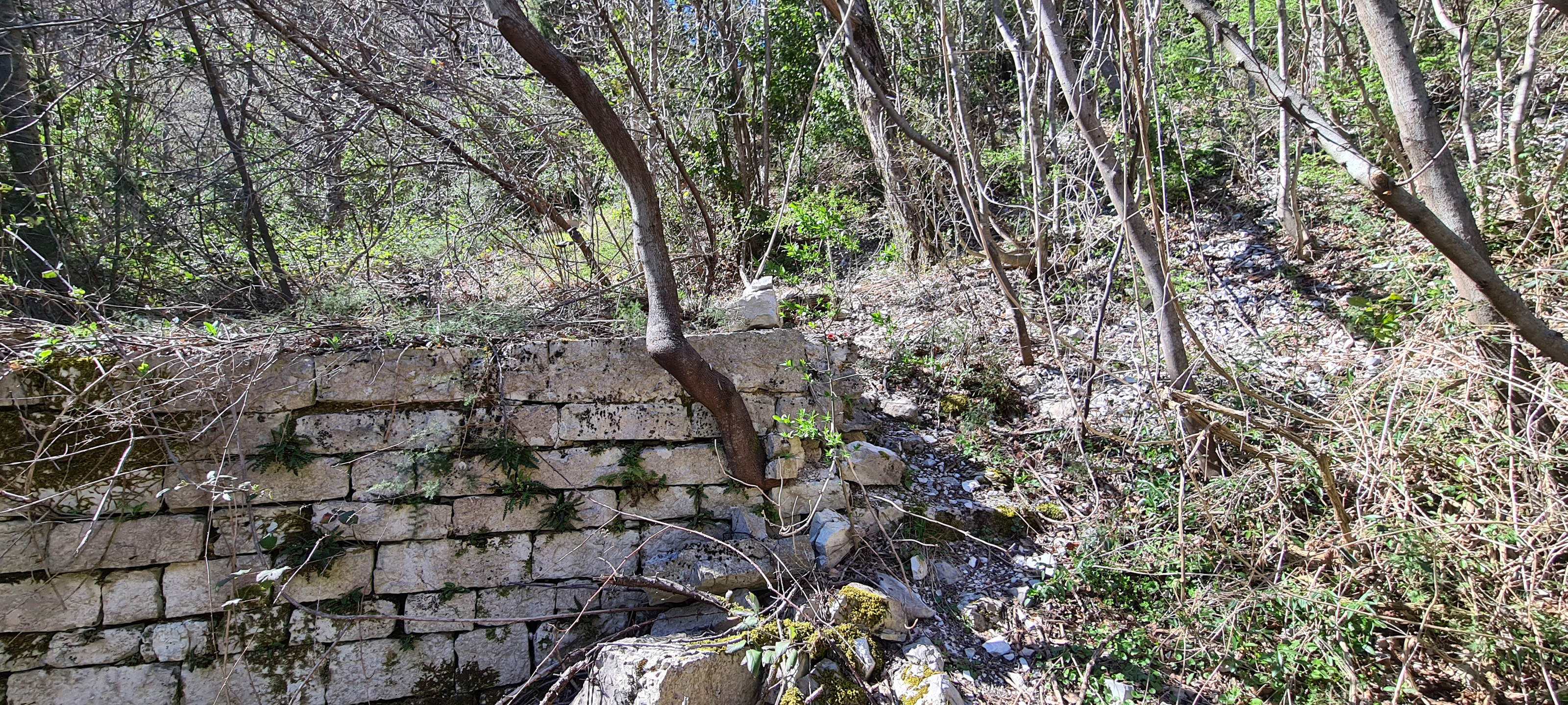 Monte Petrano Sentiero 71 - immagine 2