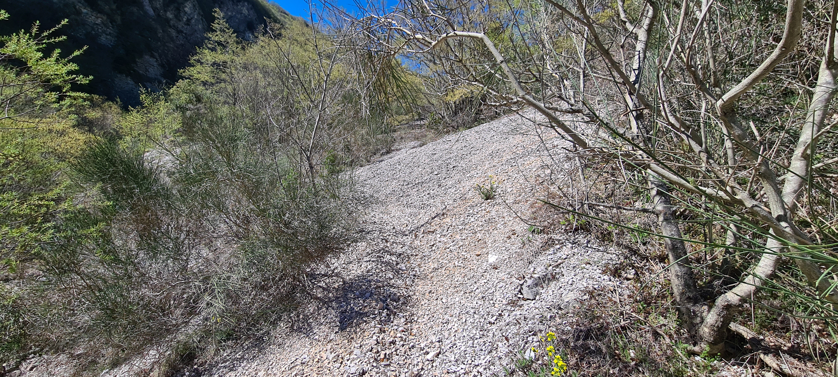 Monte Petrano Sentiero 71 - immagine 5