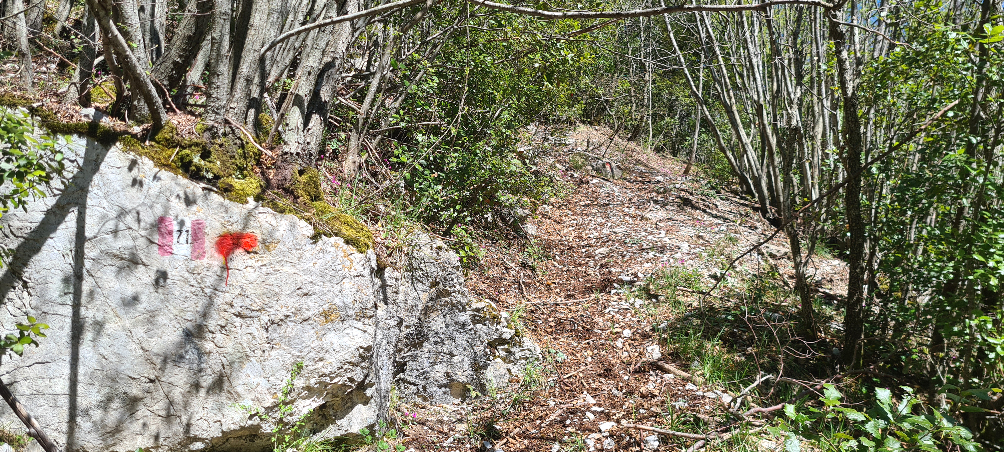 Monte Petrano Sentiero 71 - immagine 6