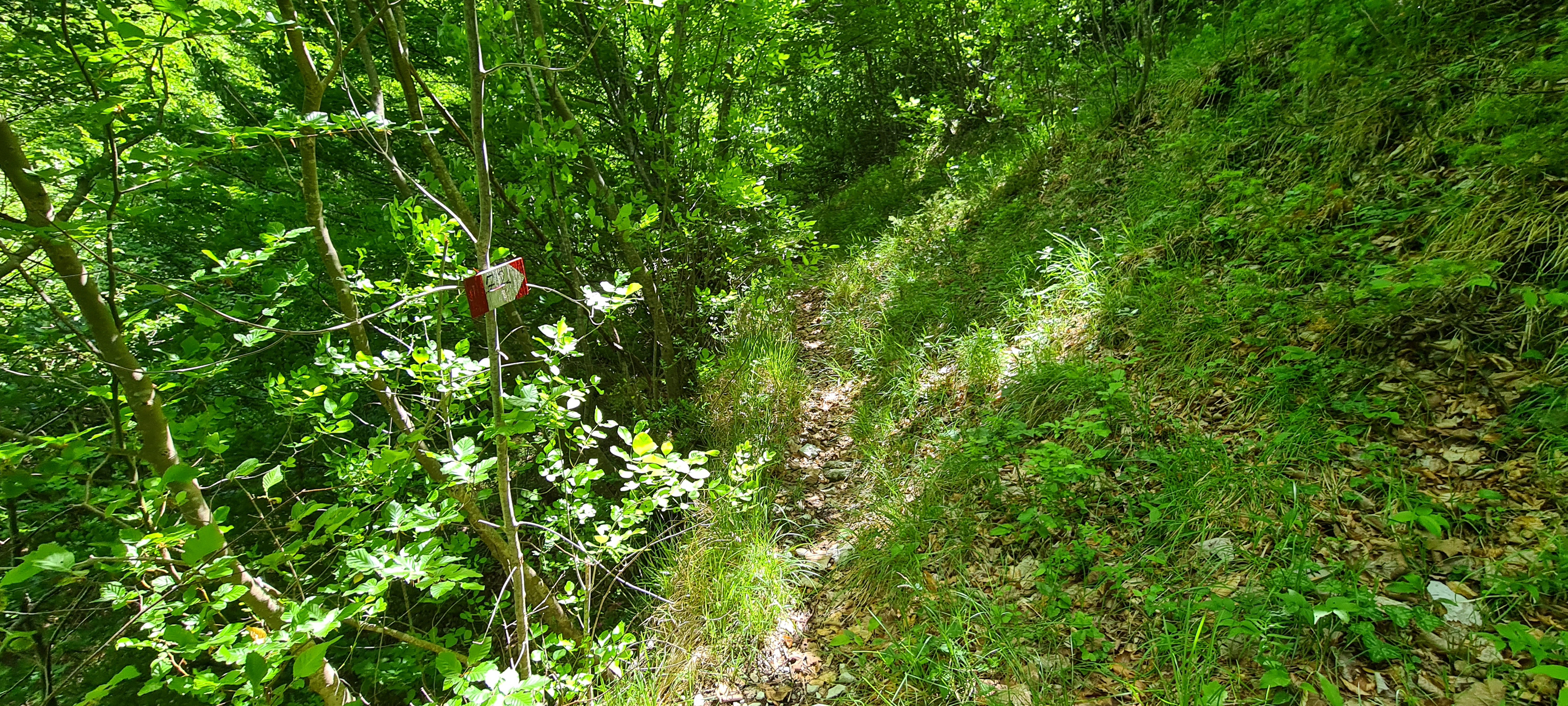 Monte Petrano Sentiero 72 - immagine 3