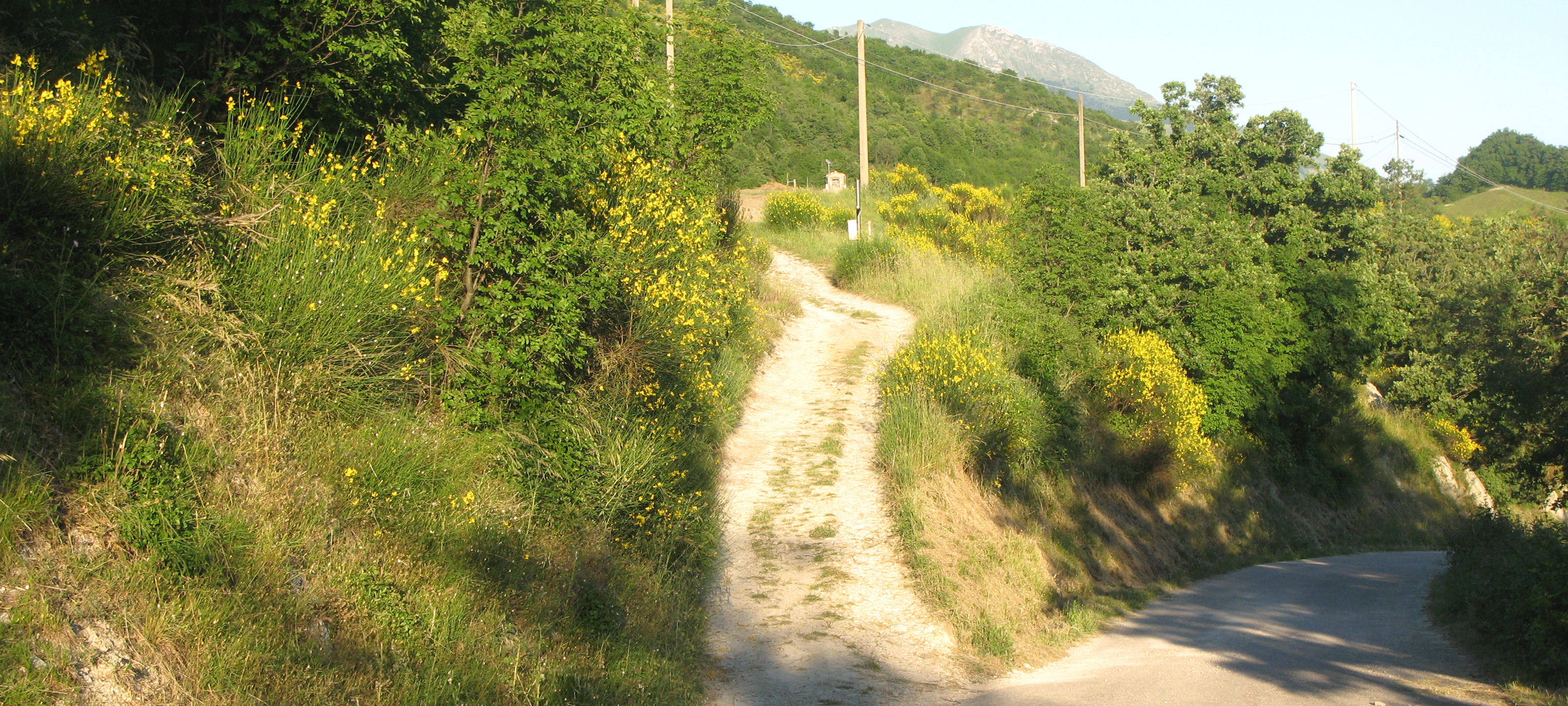 Monte Petrano Sentiero 72 - immagine 7