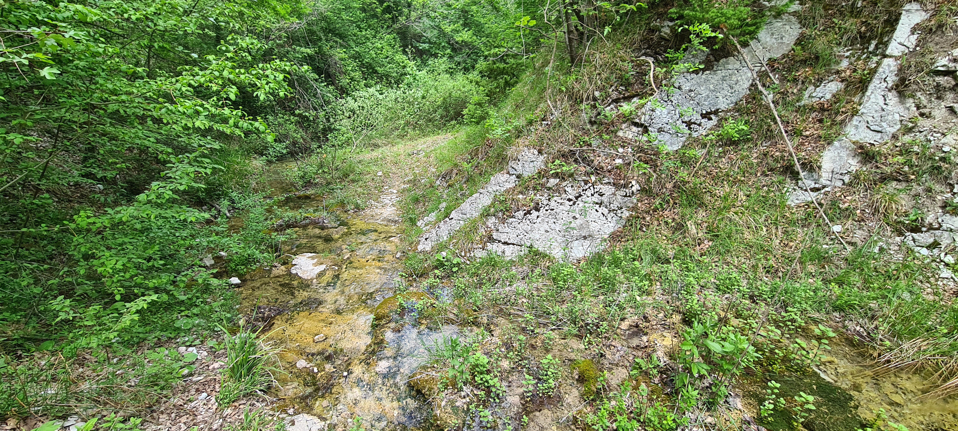 Monte Petrano Sentiero 72 - immagine 9