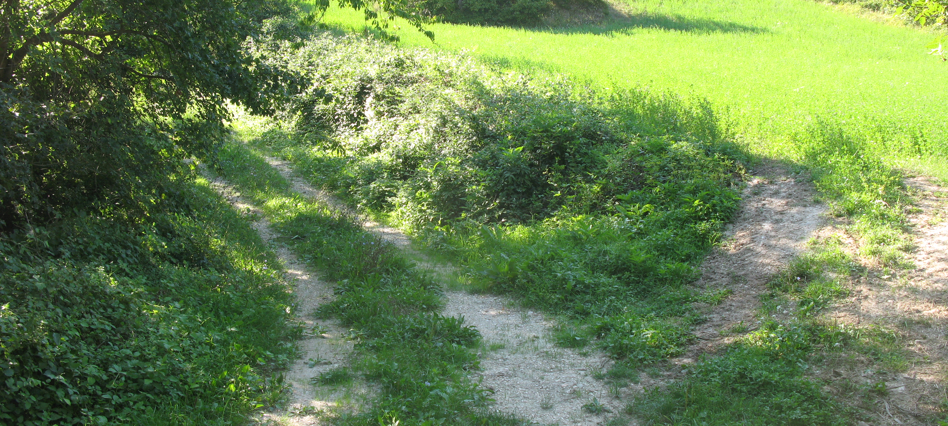 Monte Catria Sentiero 73 - immagine 1