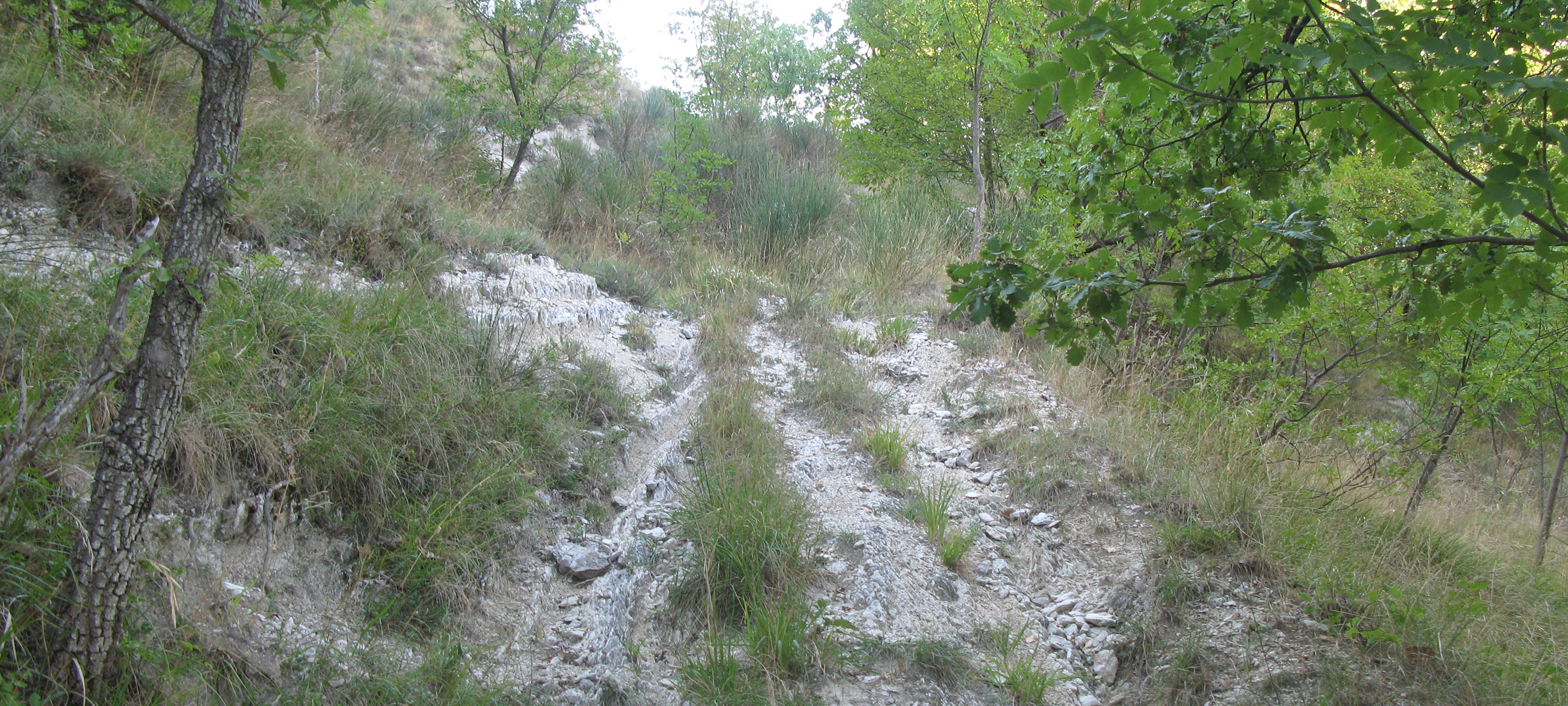 Monte Catria Sentiero 73 - immagine 3