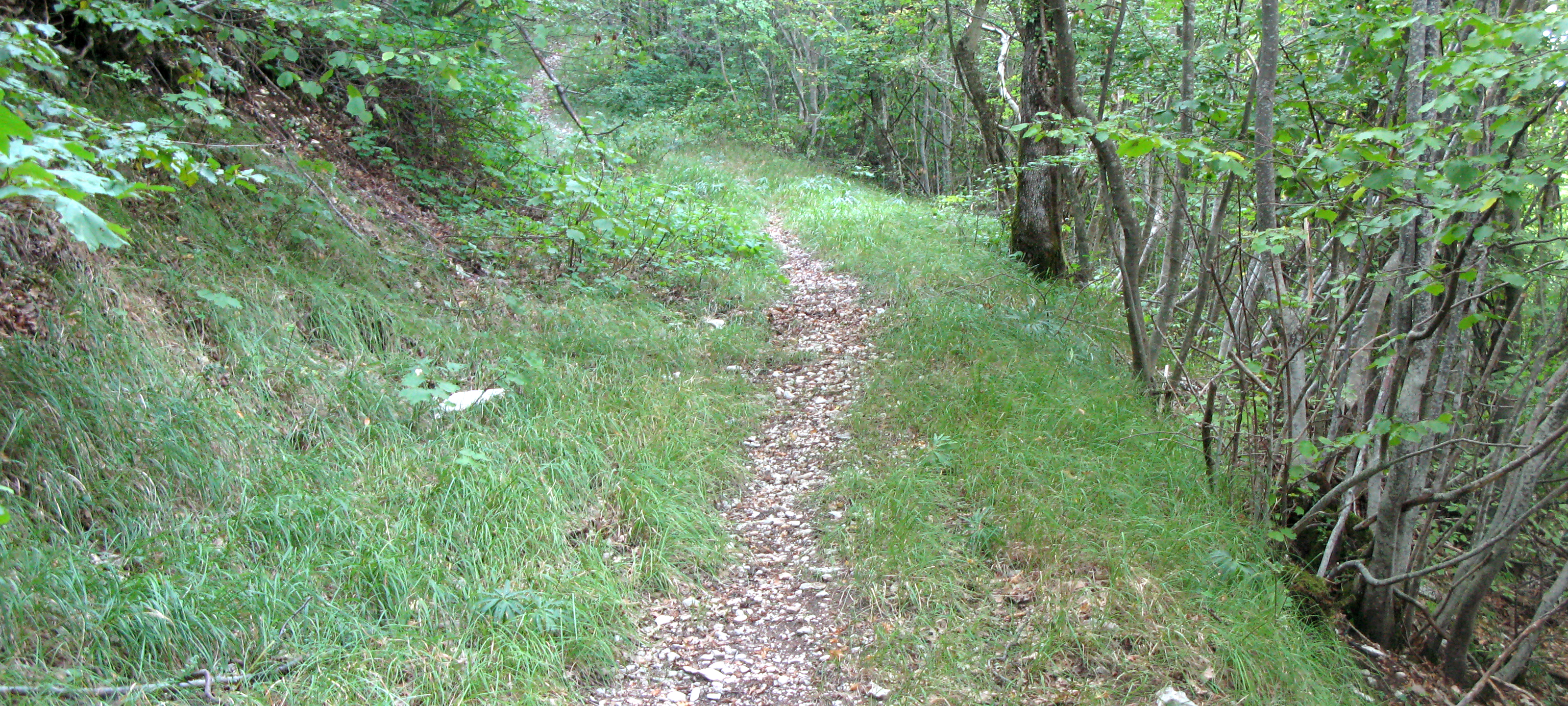 Monte Catria Sentiero 73 - immagine 4