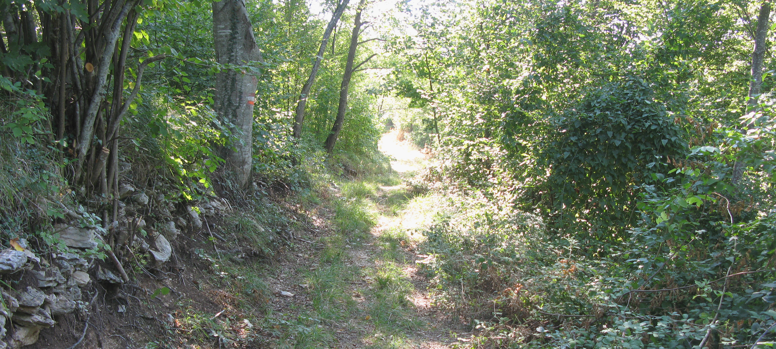 Monte Catria Sentiero 73 - immagine 5