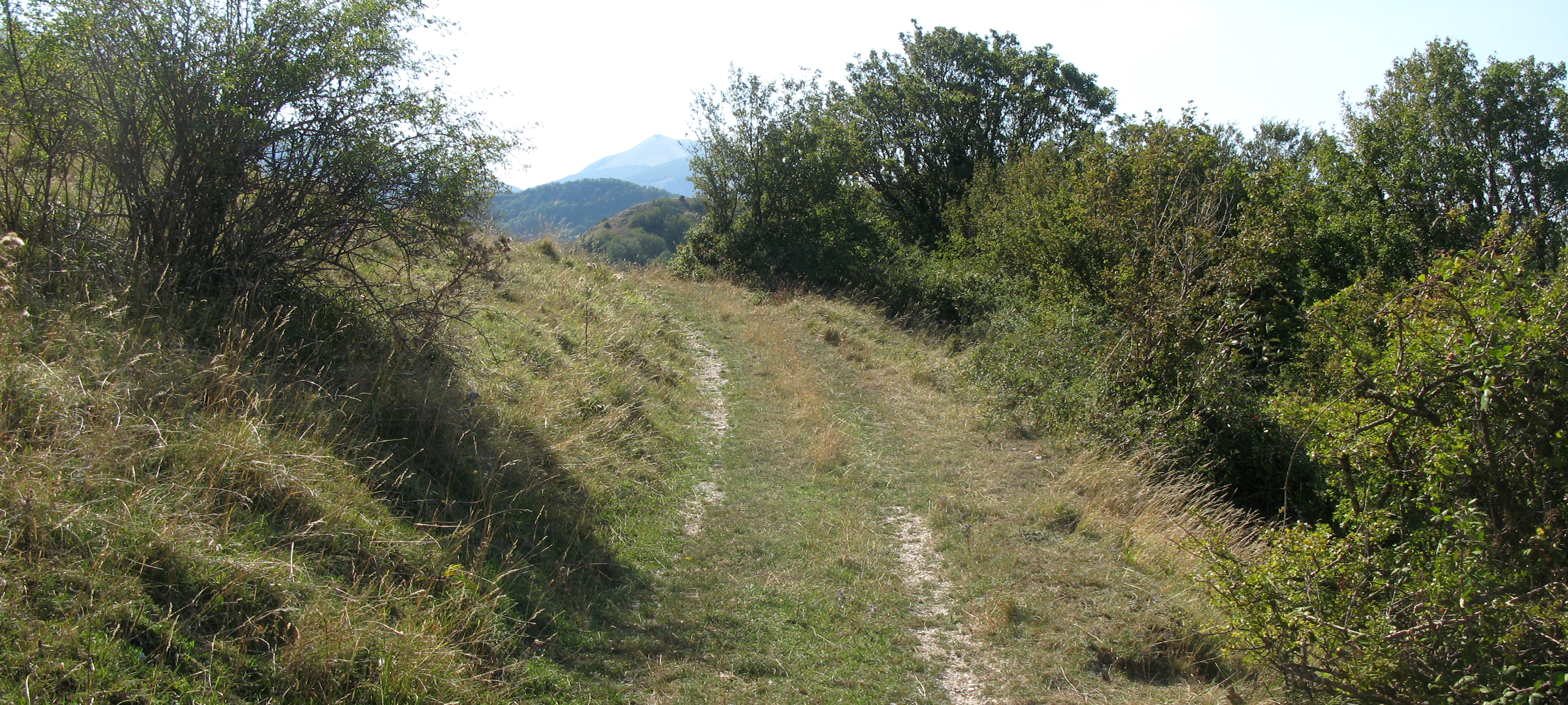 Monte Catria Sentiero 73 - immagine 6