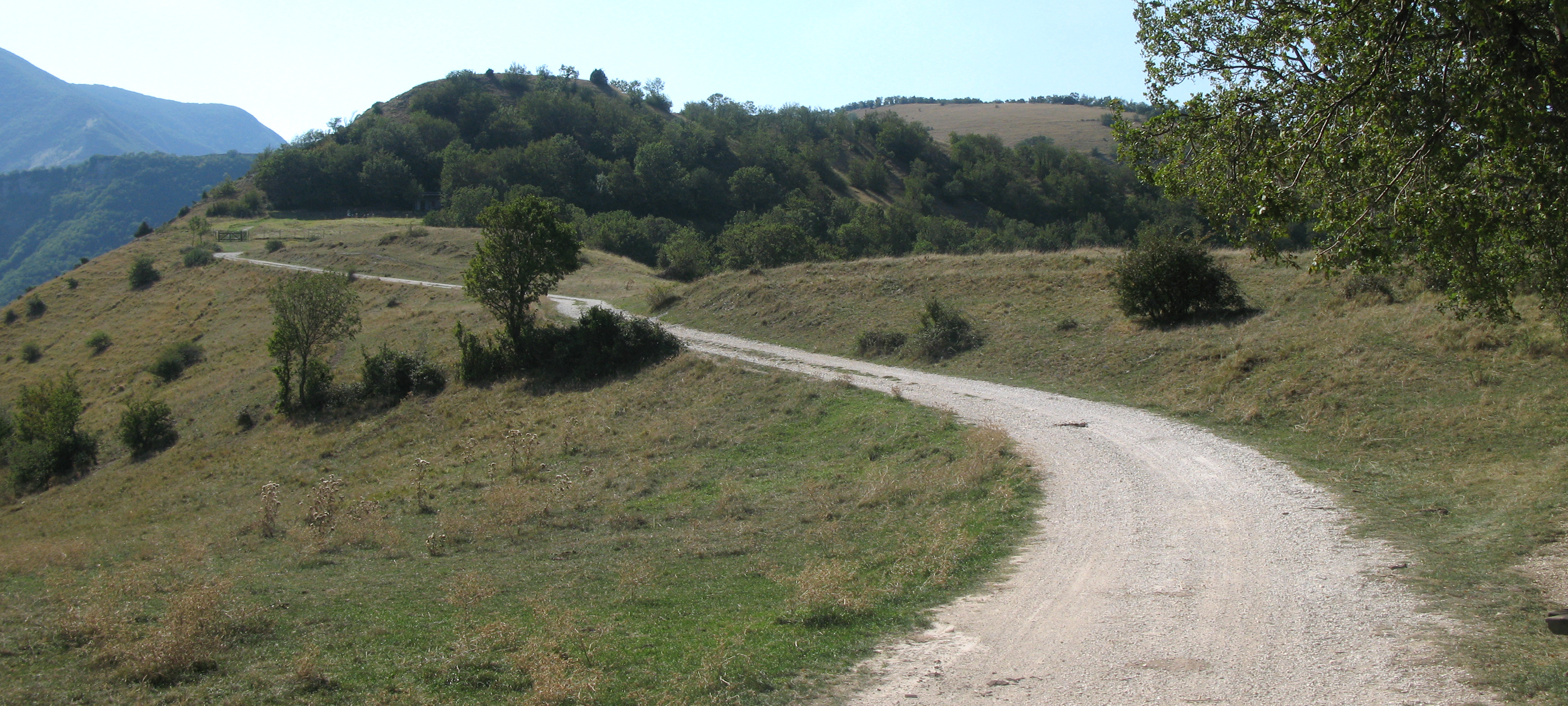 Monte Catria Sentiero 73 - immagine 7