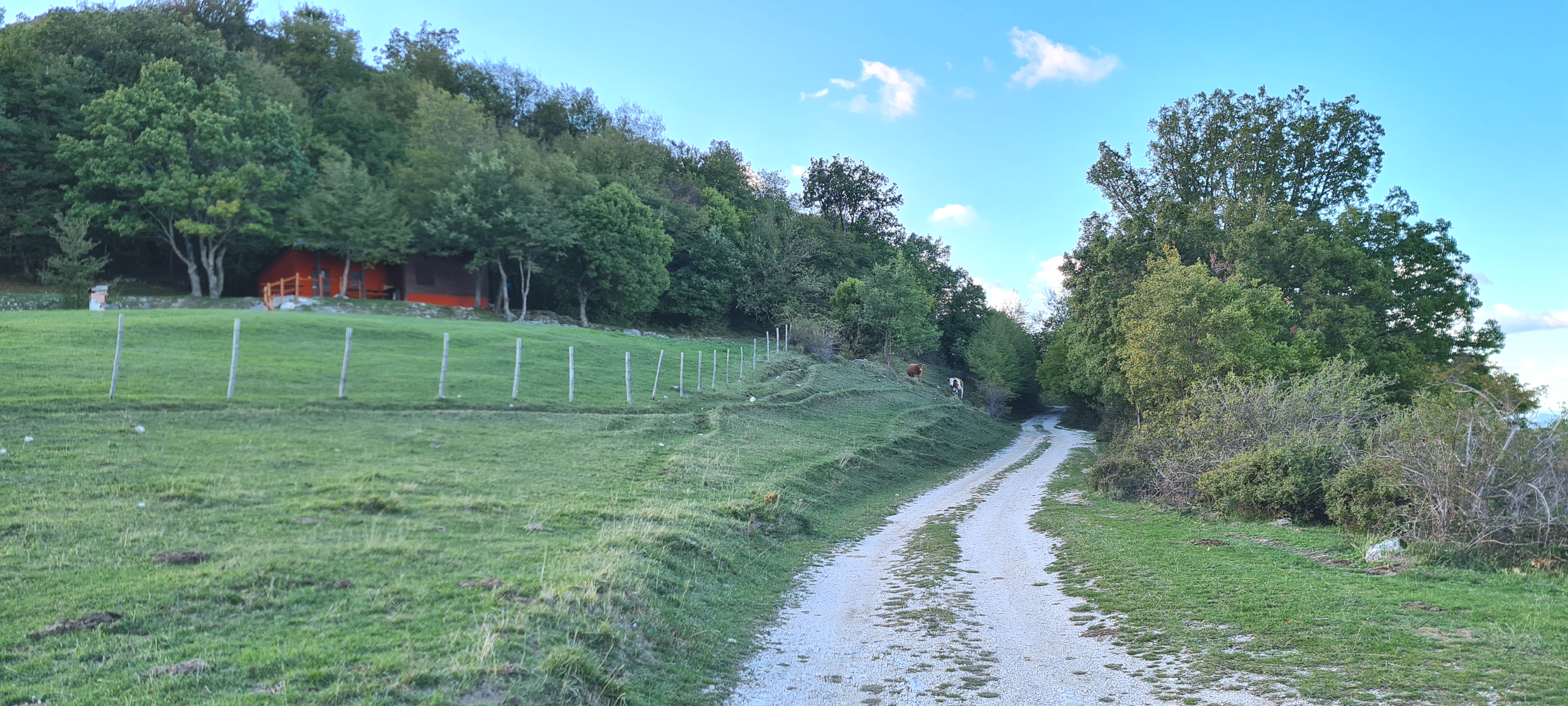 Monte Catria Sentiero 73 - immagine 8 (Rifugio della Gingualdese)
