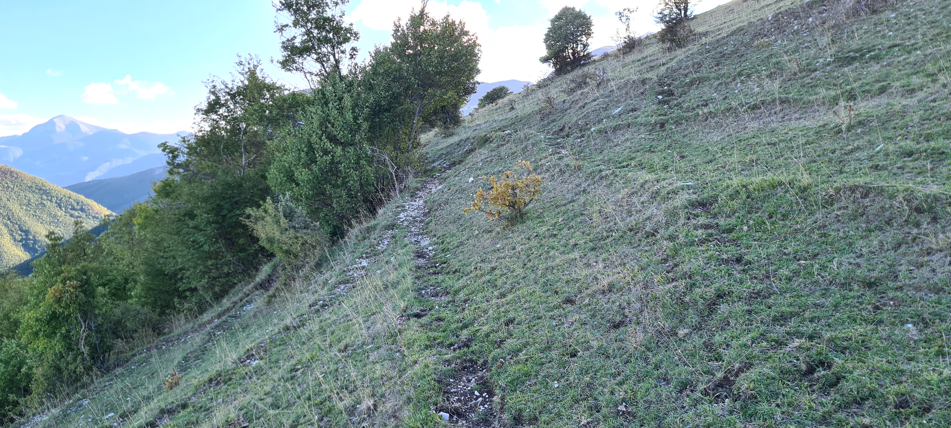 Monte Catria Sentiero 73 - immagine 9a