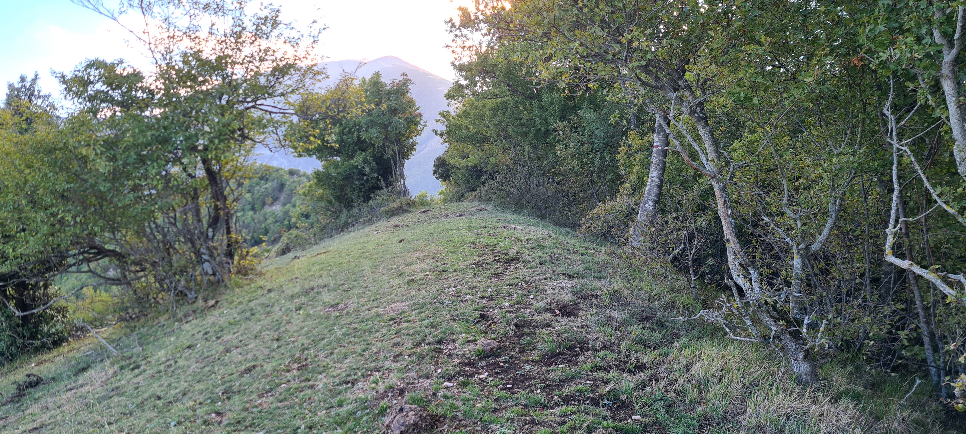 Monte Catria Sentiero 73 - immagine 10
