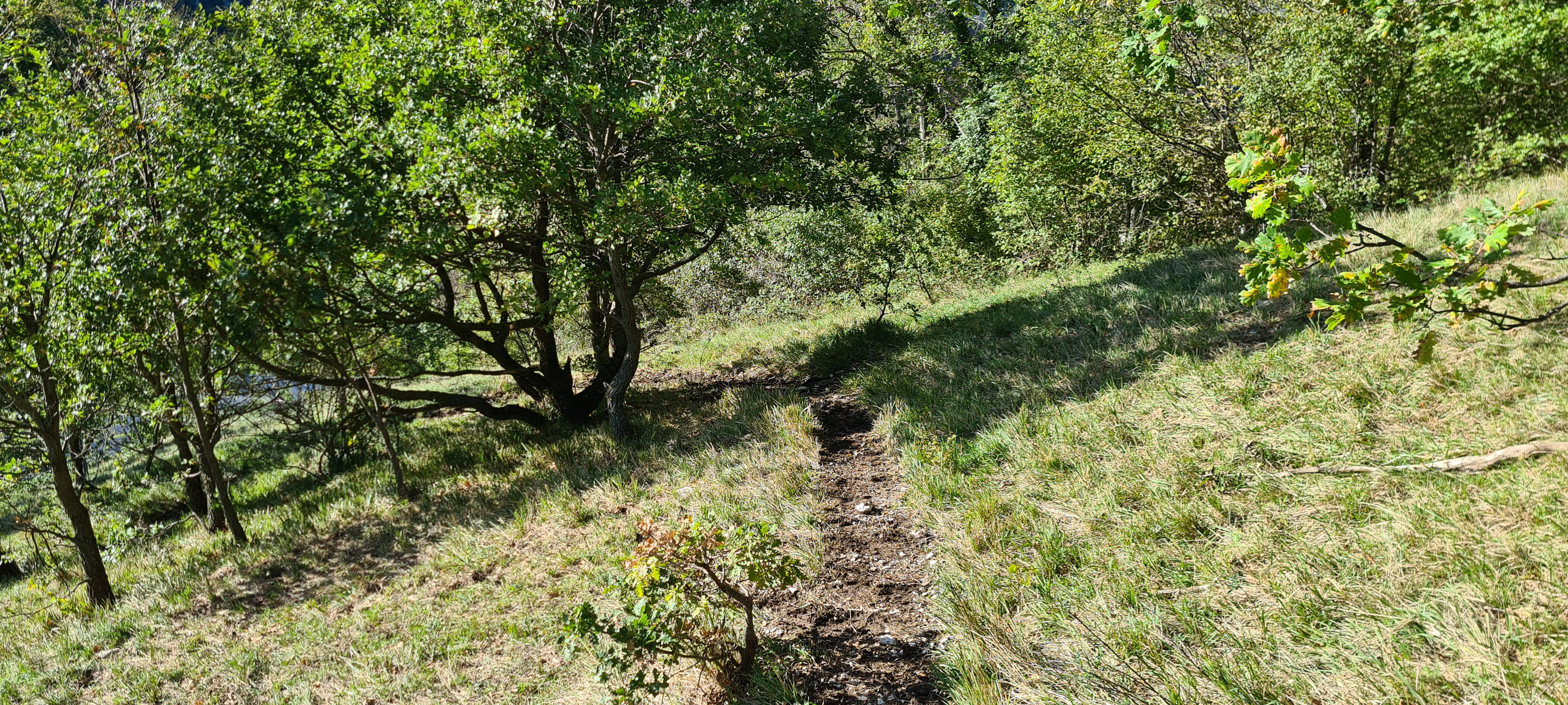 Monte Catria Sentiero 73 - immagine 13