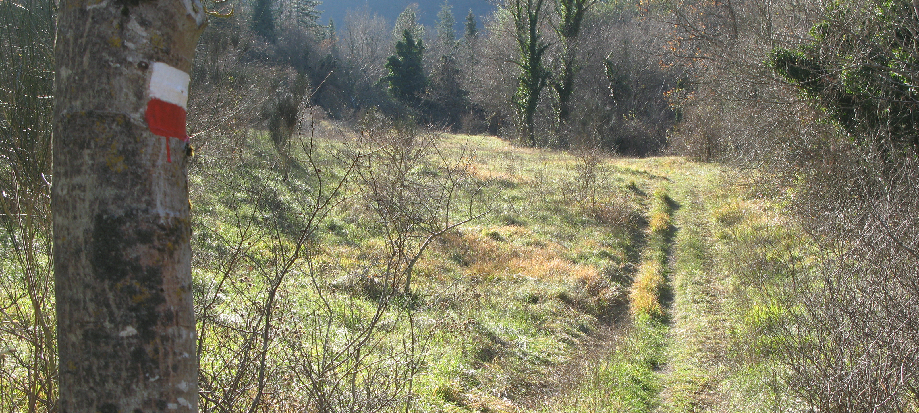 Monte Petrano Sentiero 74 - immagine 2