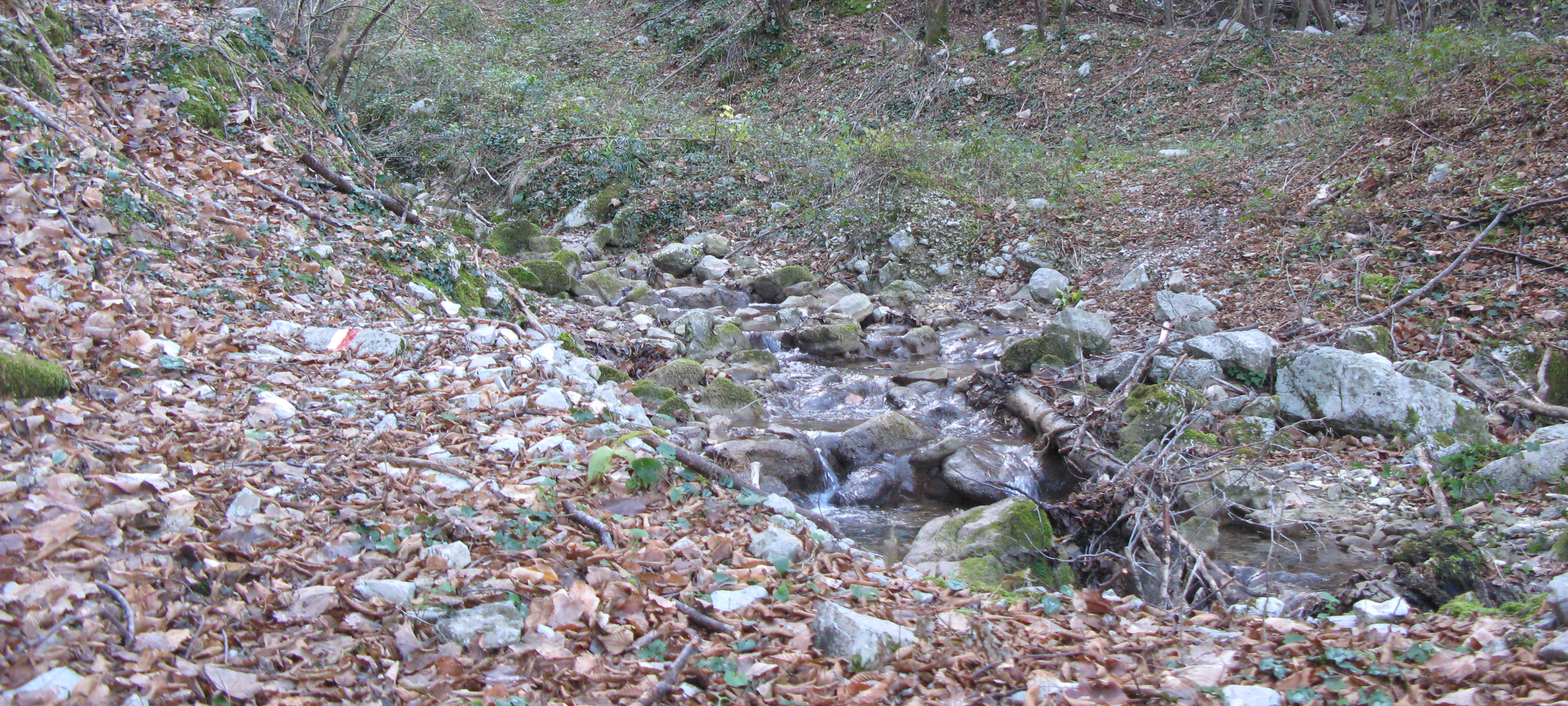 Monte Petrano Sentiero 74 - immagine 3