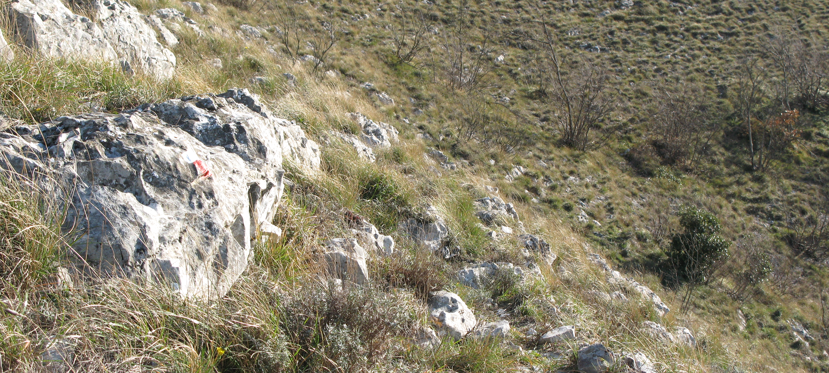 Monte Petrano Sentiero 74 - immagine 7