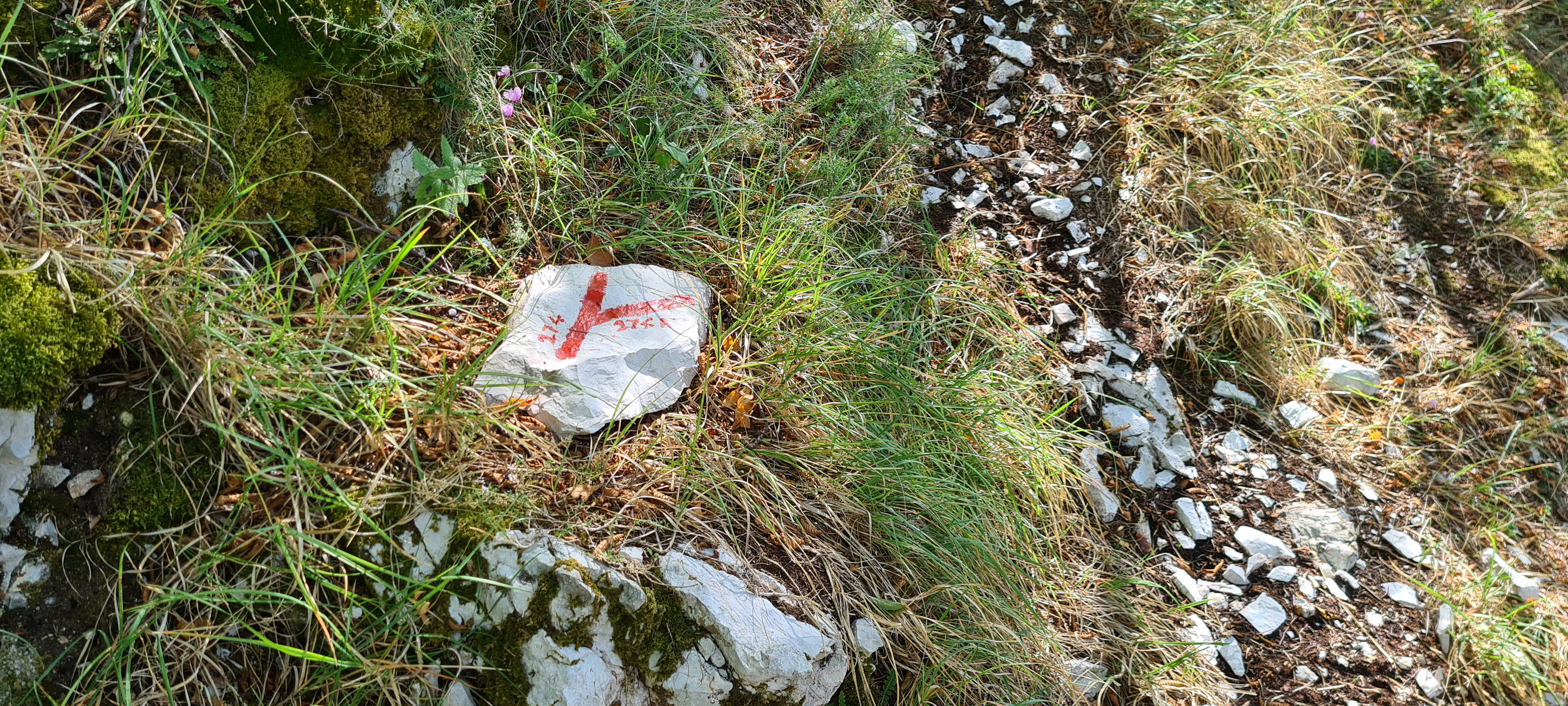 Monte Petrano Sentiero 74 - immagine 8