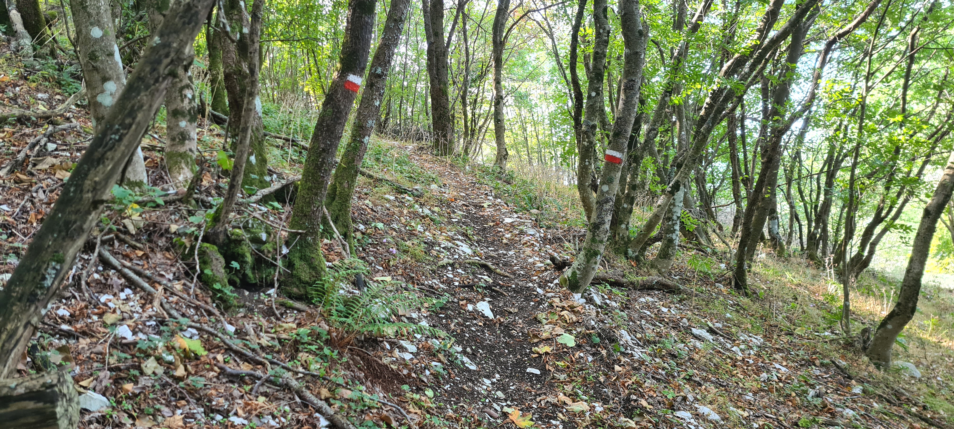 Monte Petrano Sentiero 74 - immagine 10